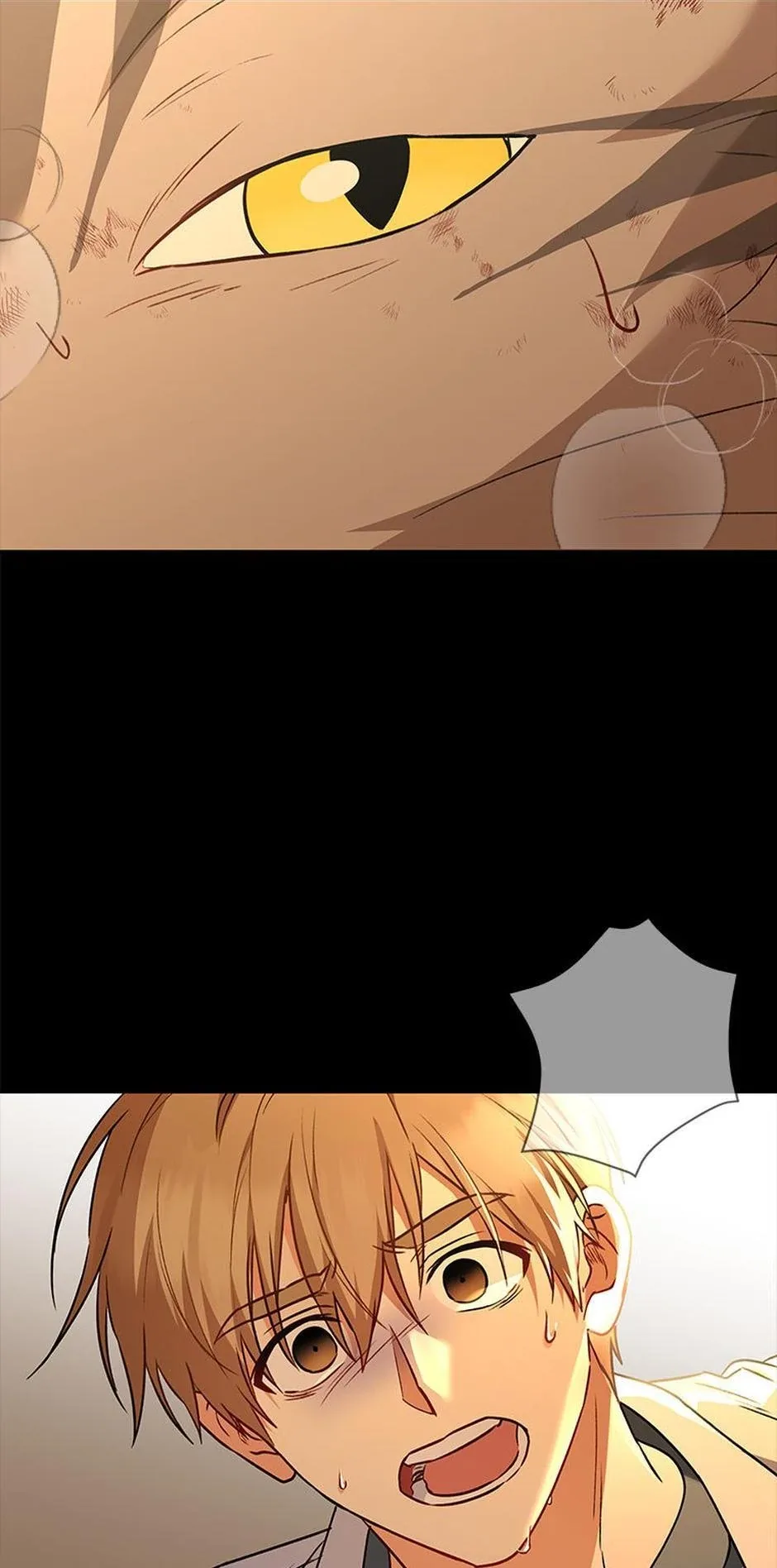 Hello! Veterinarian! Chapter 35 page 41