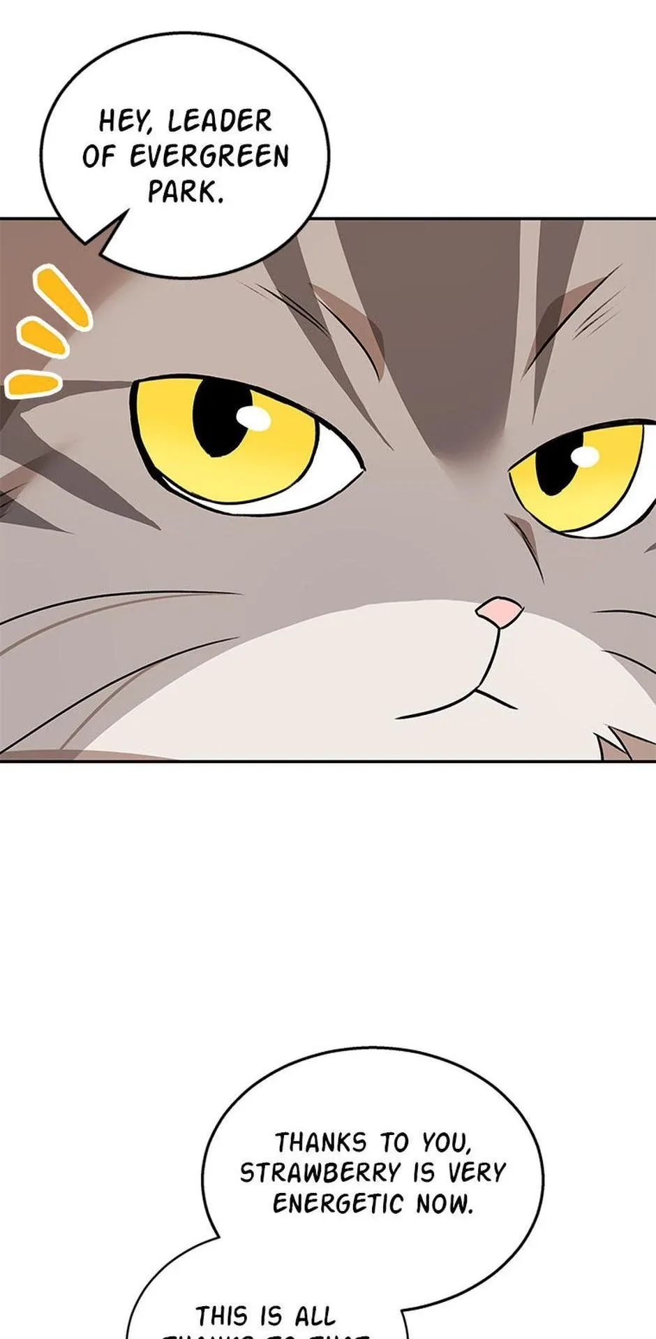 Hello! Veterinarian! Chapter 35 page 70