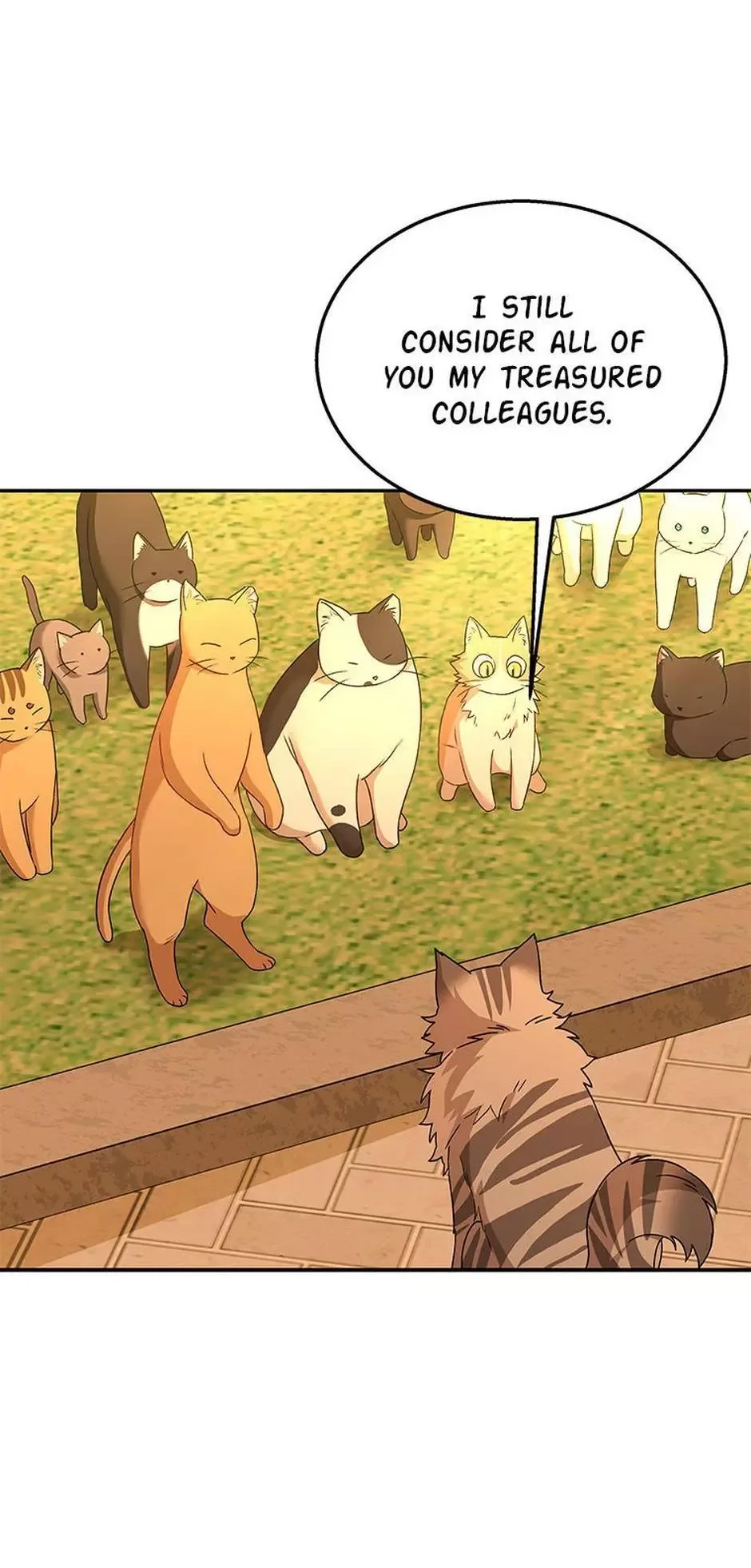 Hello! Veterinarian! Chapter 38 page 47
