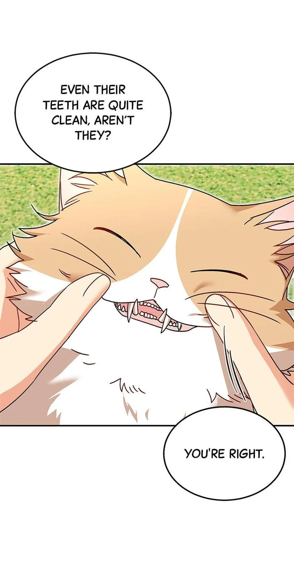 Hello! Veterinarian! Chapter 40 page 28