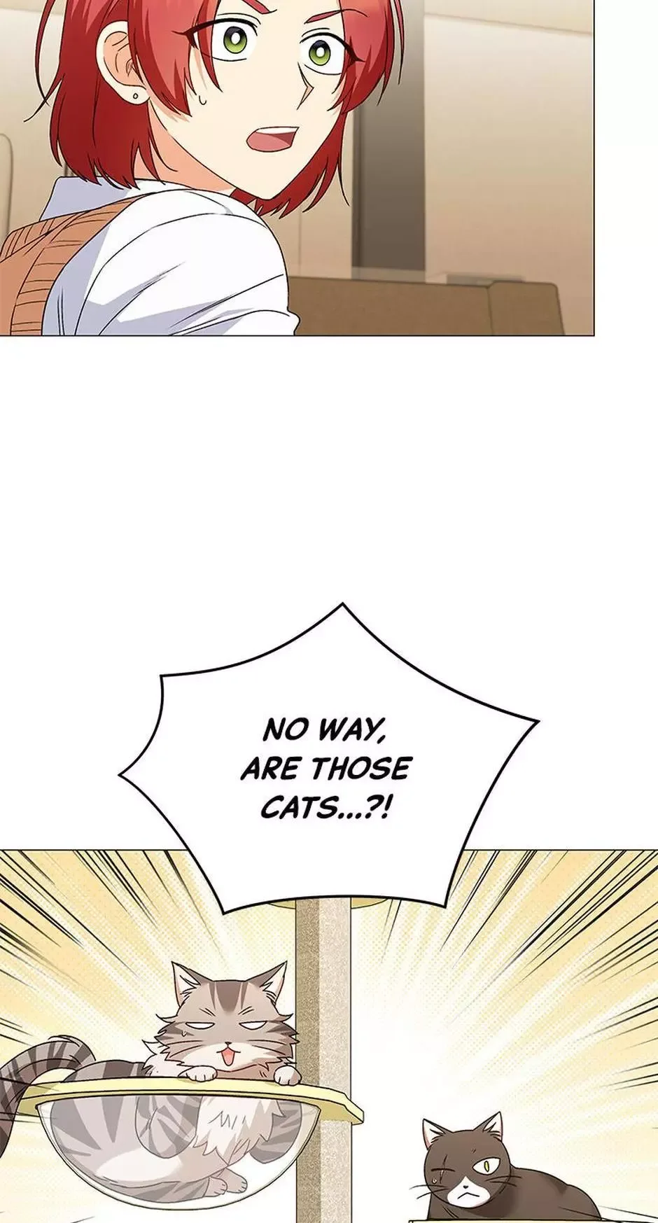 Hello! Veterinarian! Chapter 39 page 56