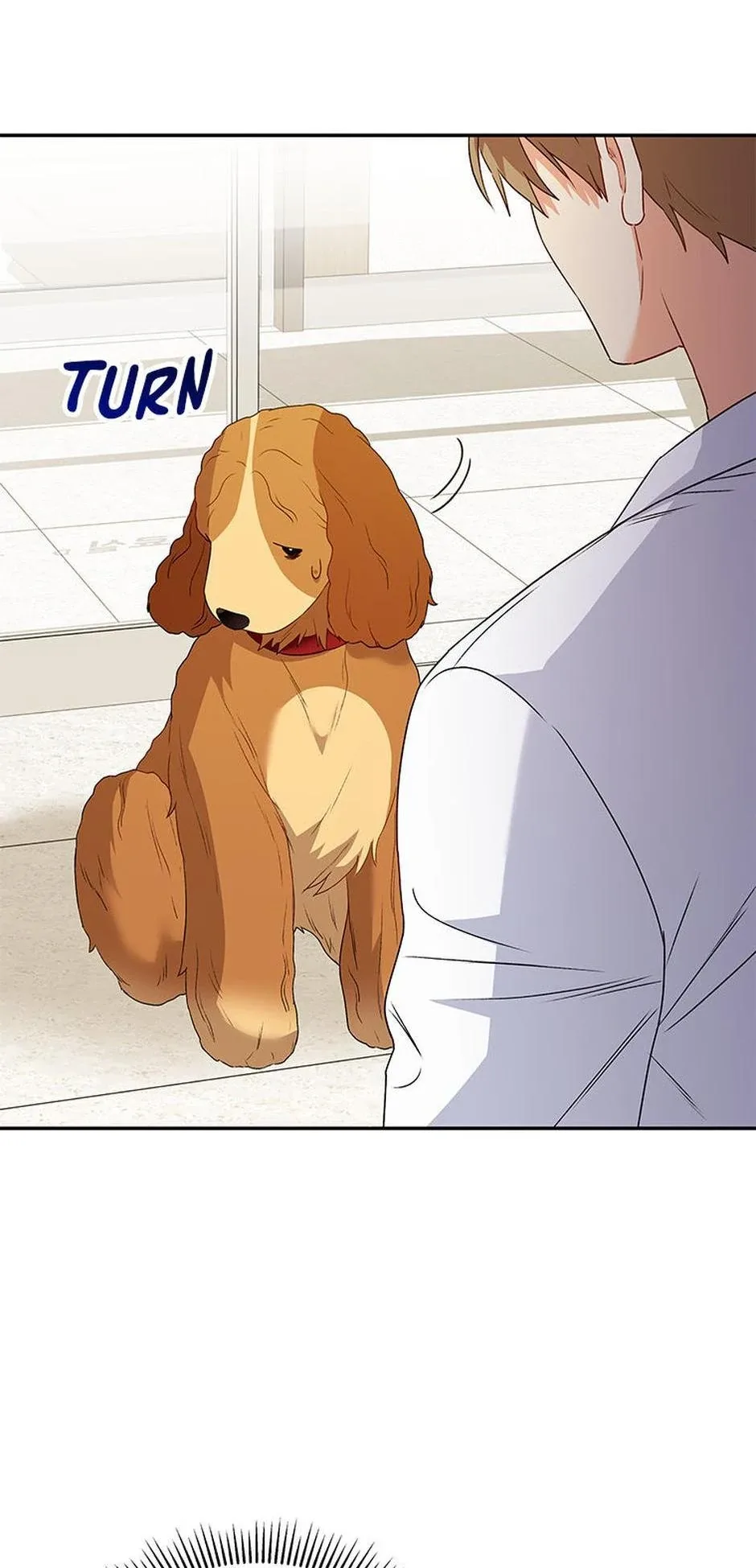 Hello! Veterinarian! Chapter 42 page 44