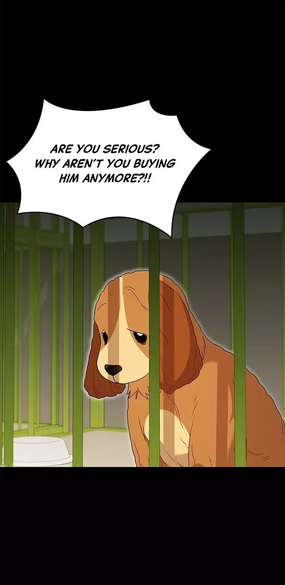 Hello! Veterinarian! Chapter 43 page 11
