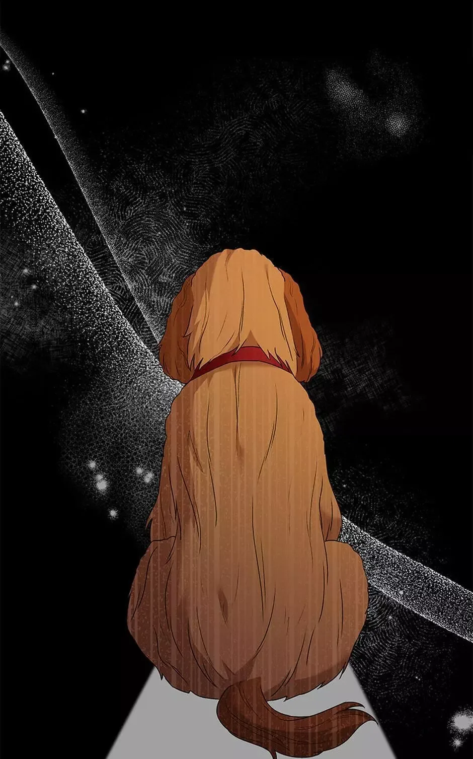 Hello! Veterinarian! Chapter 42 page 51