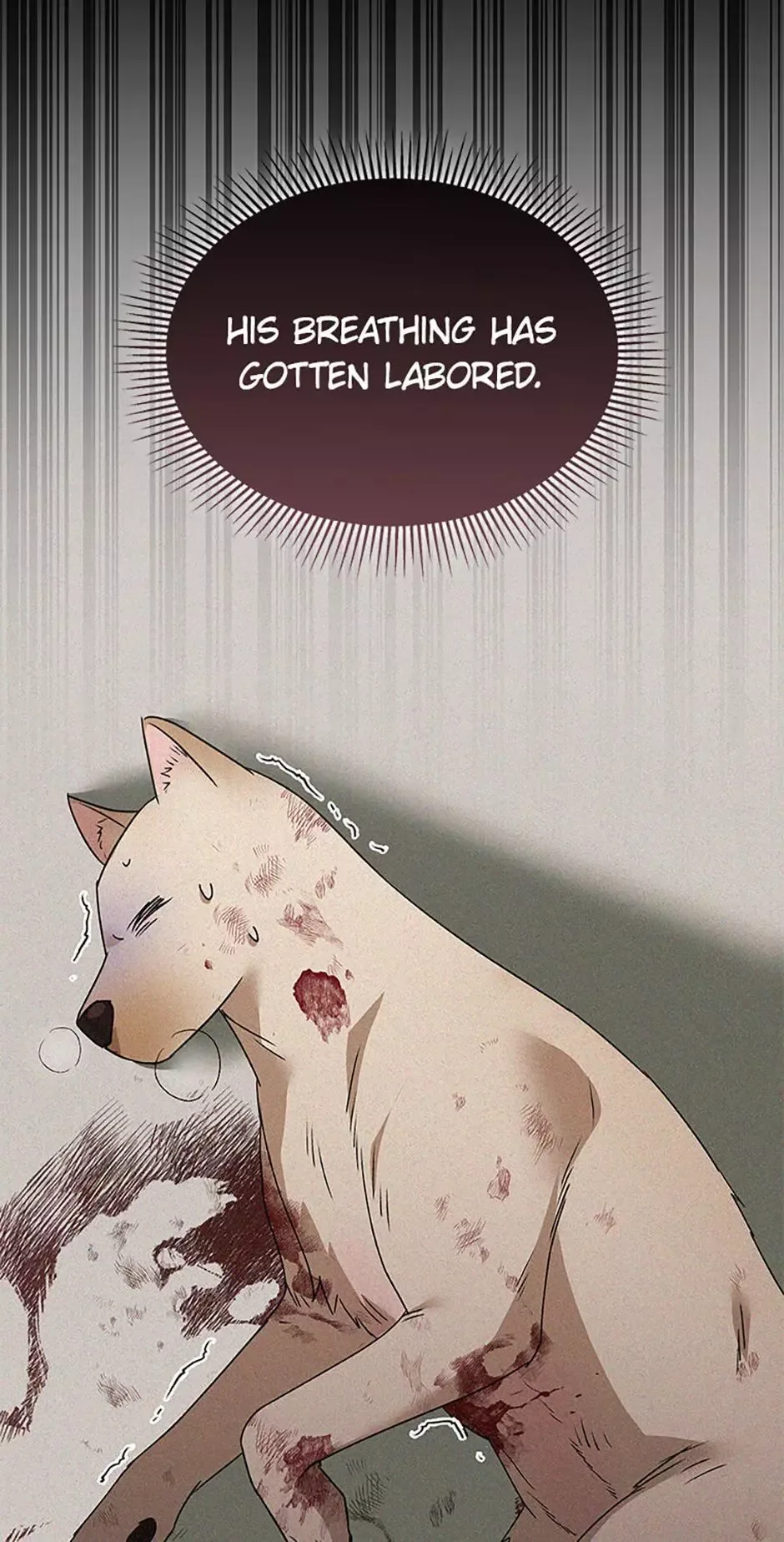 Hello! Veterinarian! Chapter 46 page 74