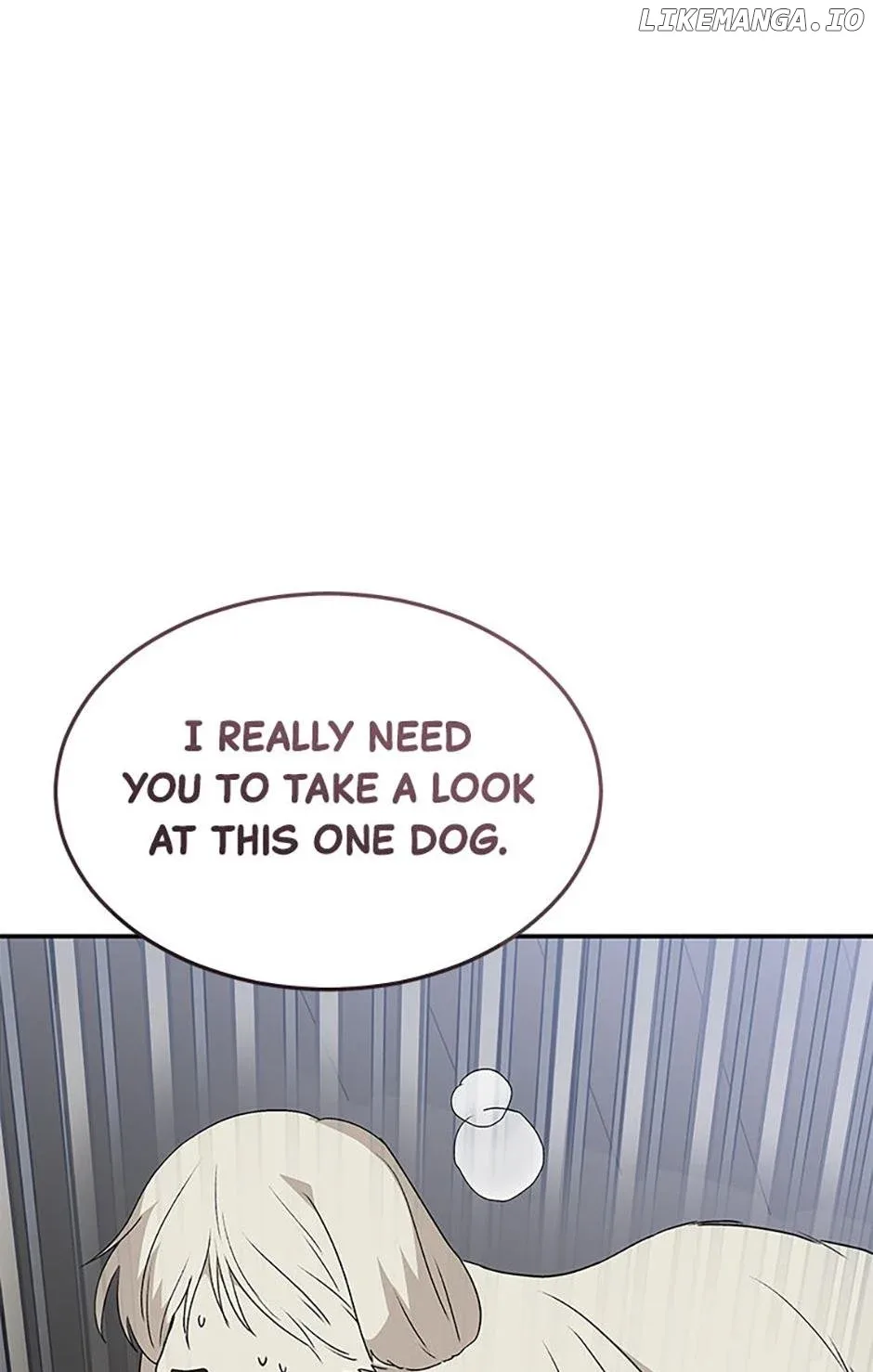 Hello! Veterinarian! Chapter 48 page 19
