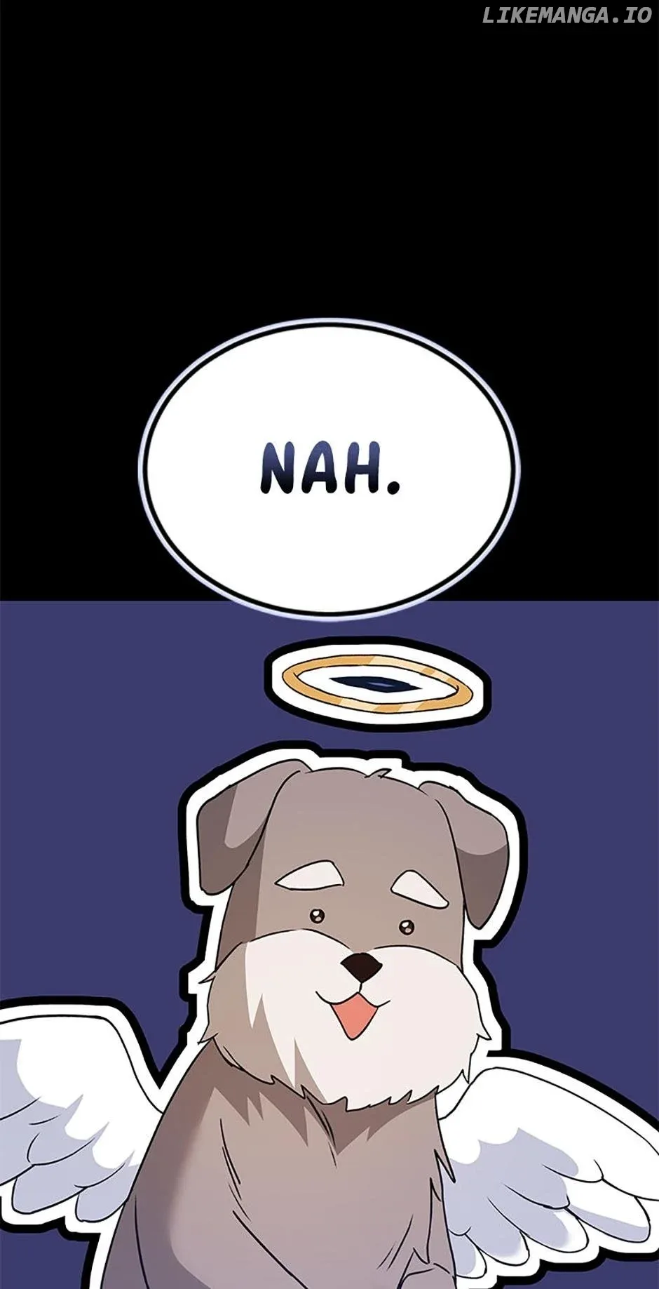 Hello! Veterinarian! Chapter 48 page 77