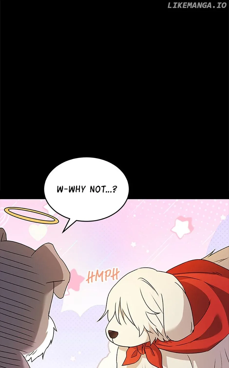 Hello! Veterinarian! Chapter 49 page 1