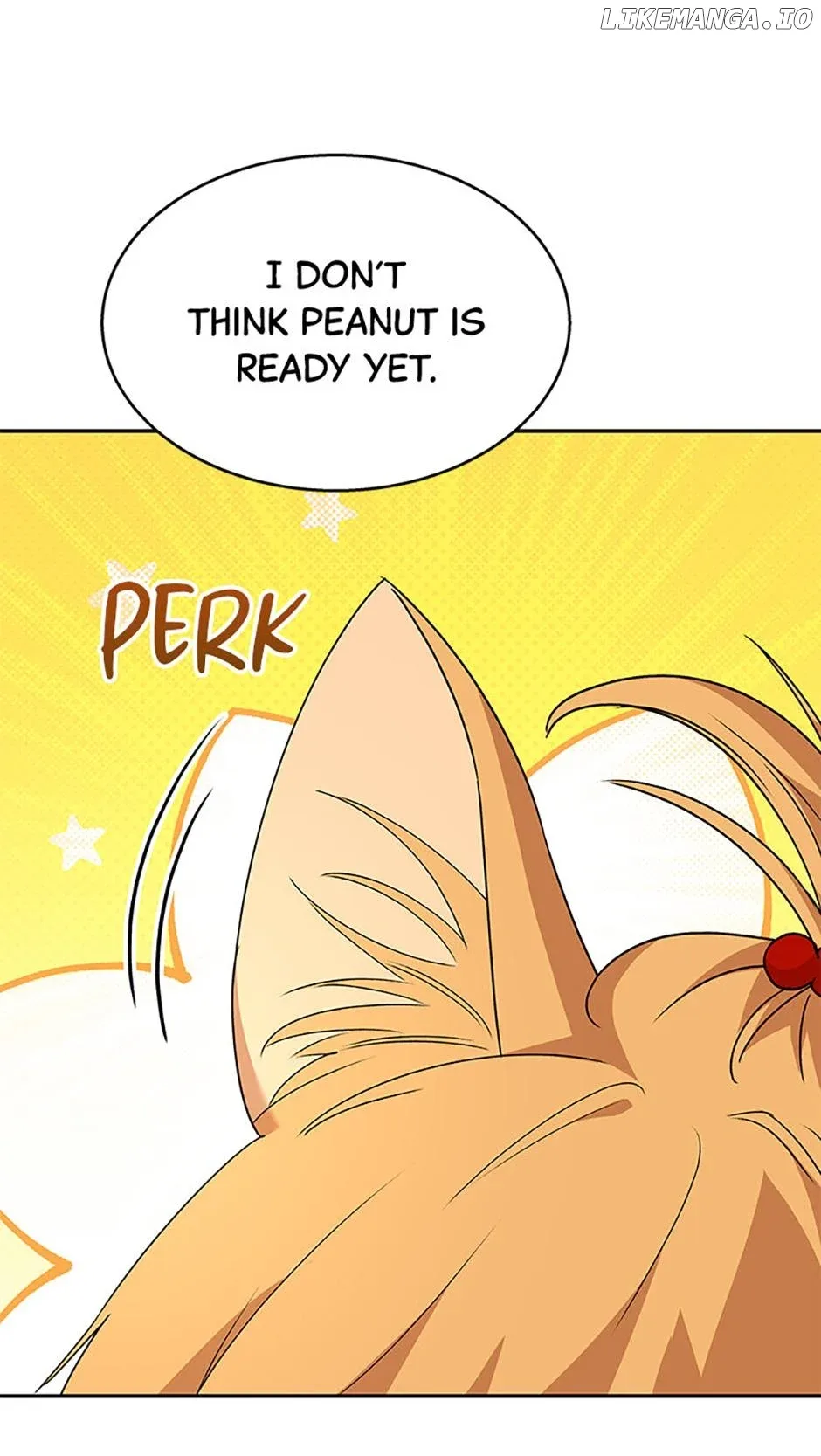 Hello! Veterinarian! Chapter 50 page 8