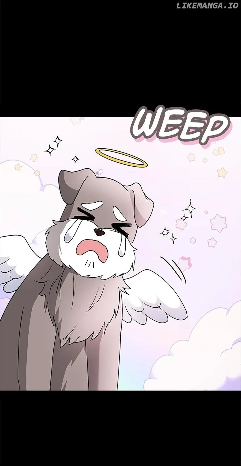 Hello! Veterinarian! Chapter 49 page 6