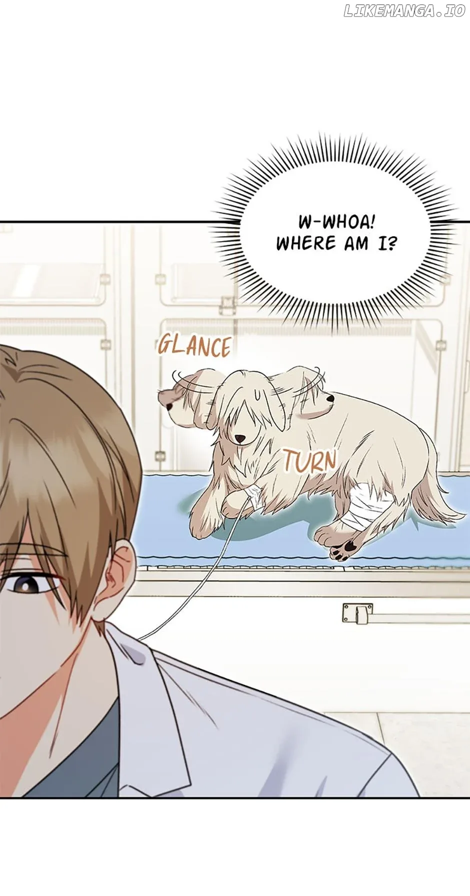 Hello! Veterinarian! Chapter 49 page 16