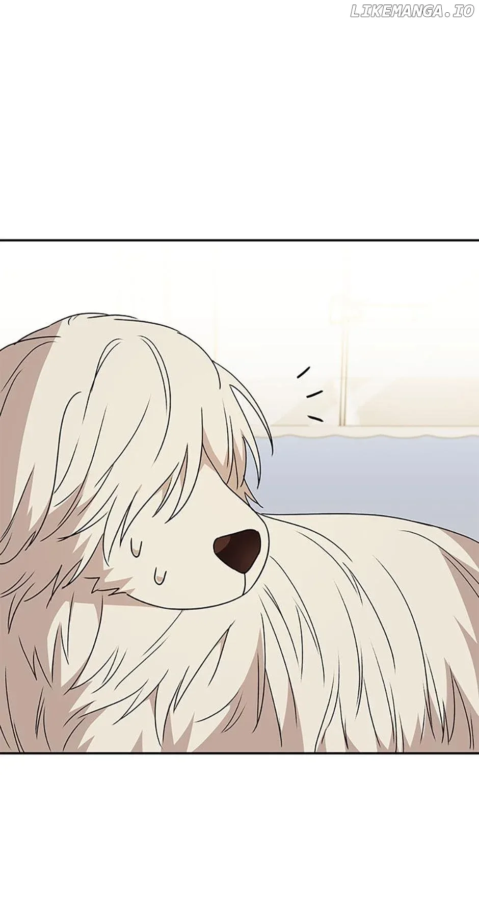 Hello! Veterinarian! Chapter 49 page 17