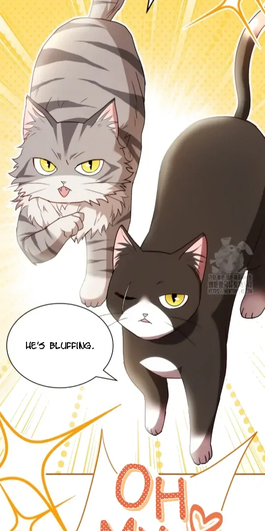 Hello! Veterinarian! Chapter 51 page 39