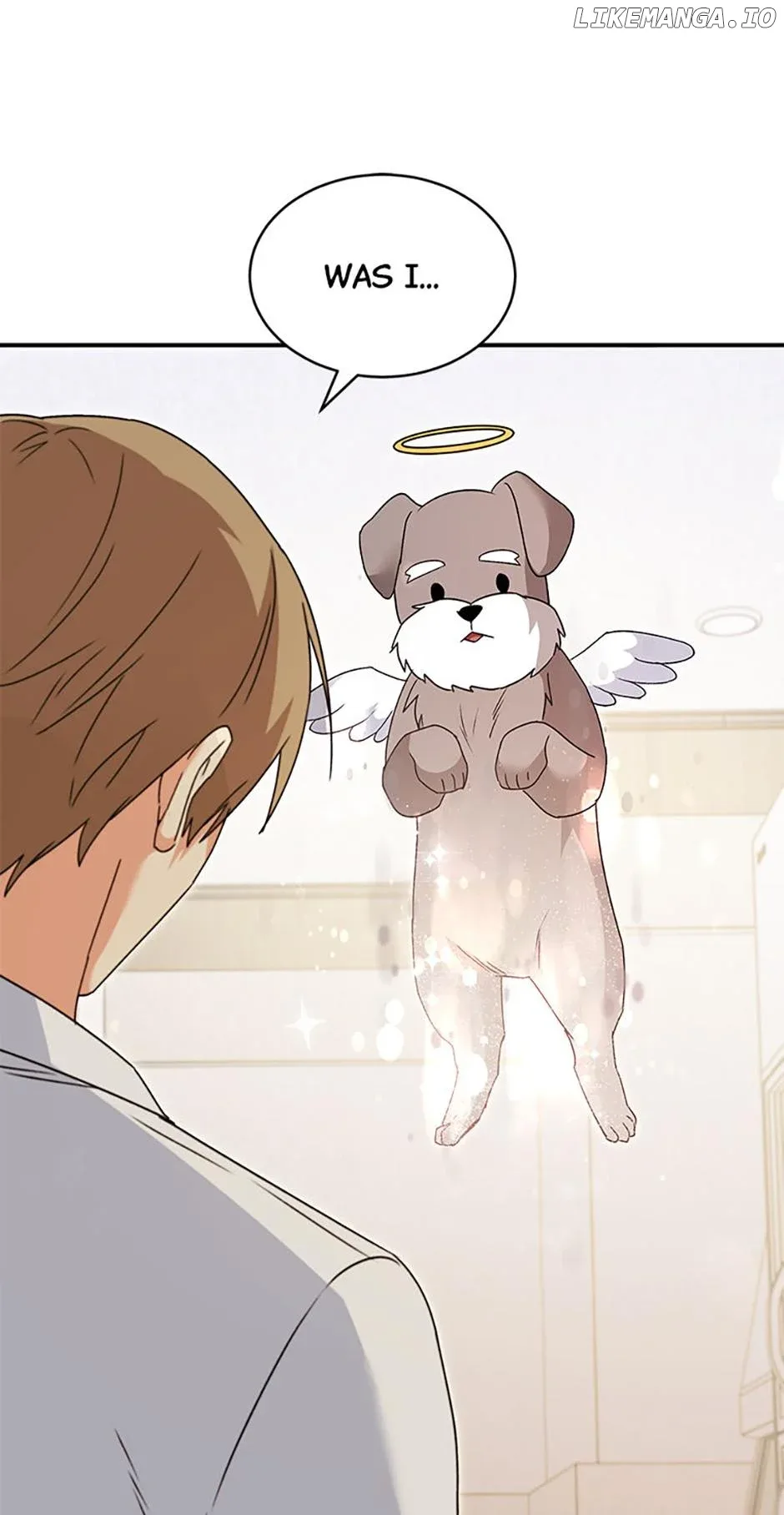 Hello! Veterinarian! Chapter 49 page 71