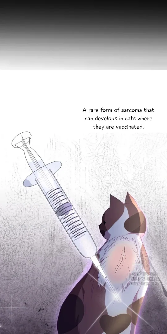 Hello! Veterinarian! Chapter 53 page 9