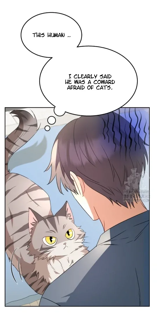 Hello! Veterinarian! Chapter 52 page 12