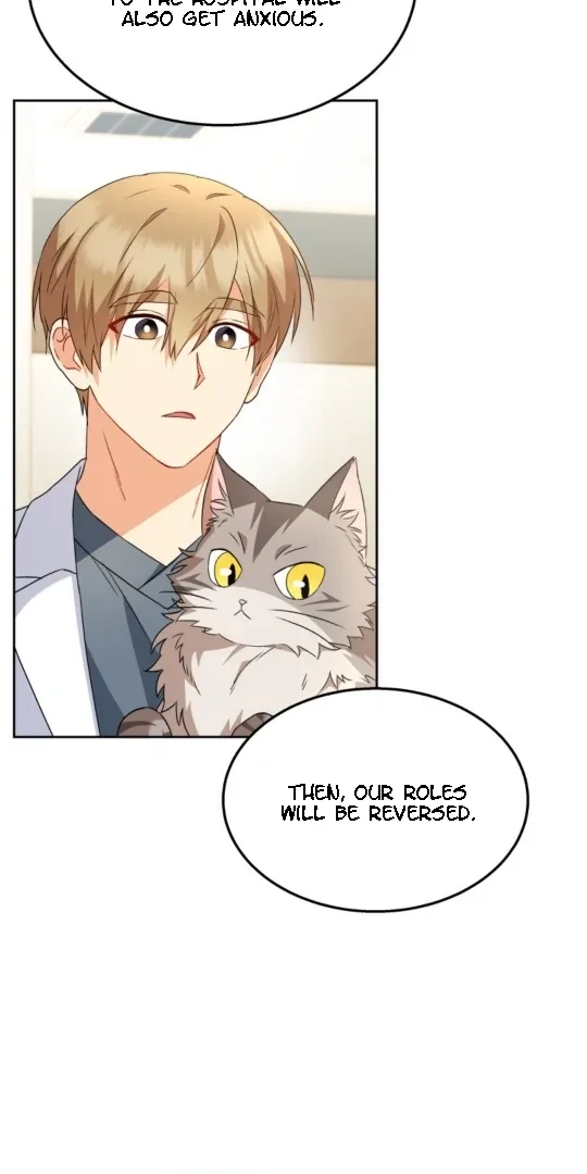 Hello! Veterinarian! Chapter 52 page 38