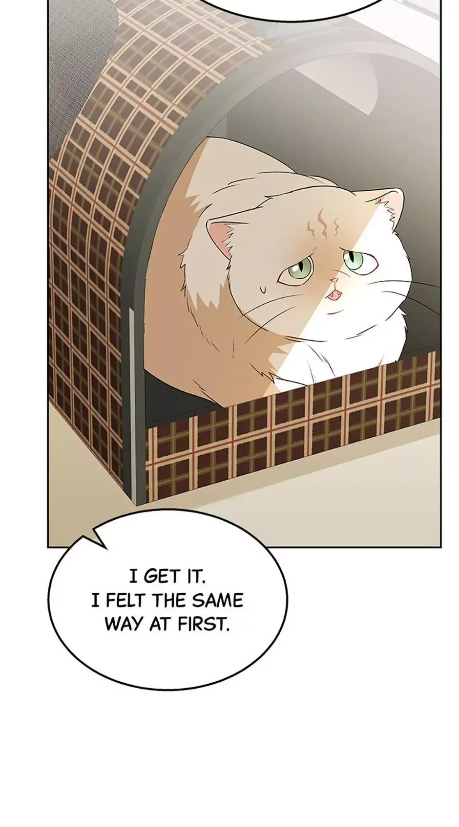 Hello! Veterinarian! Chapter 54 page 67