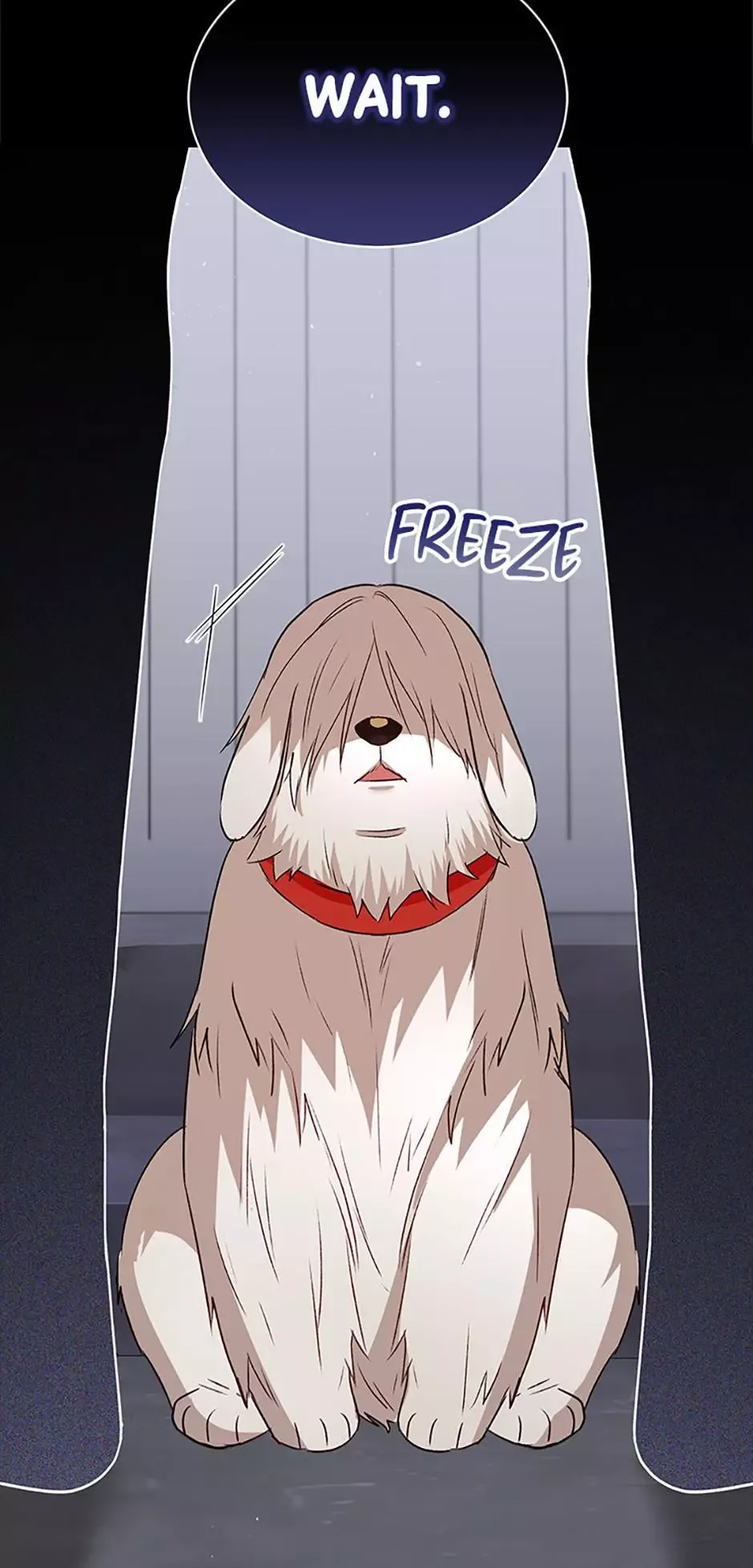 Hello! Veterinarian! Chapter 56 page 11