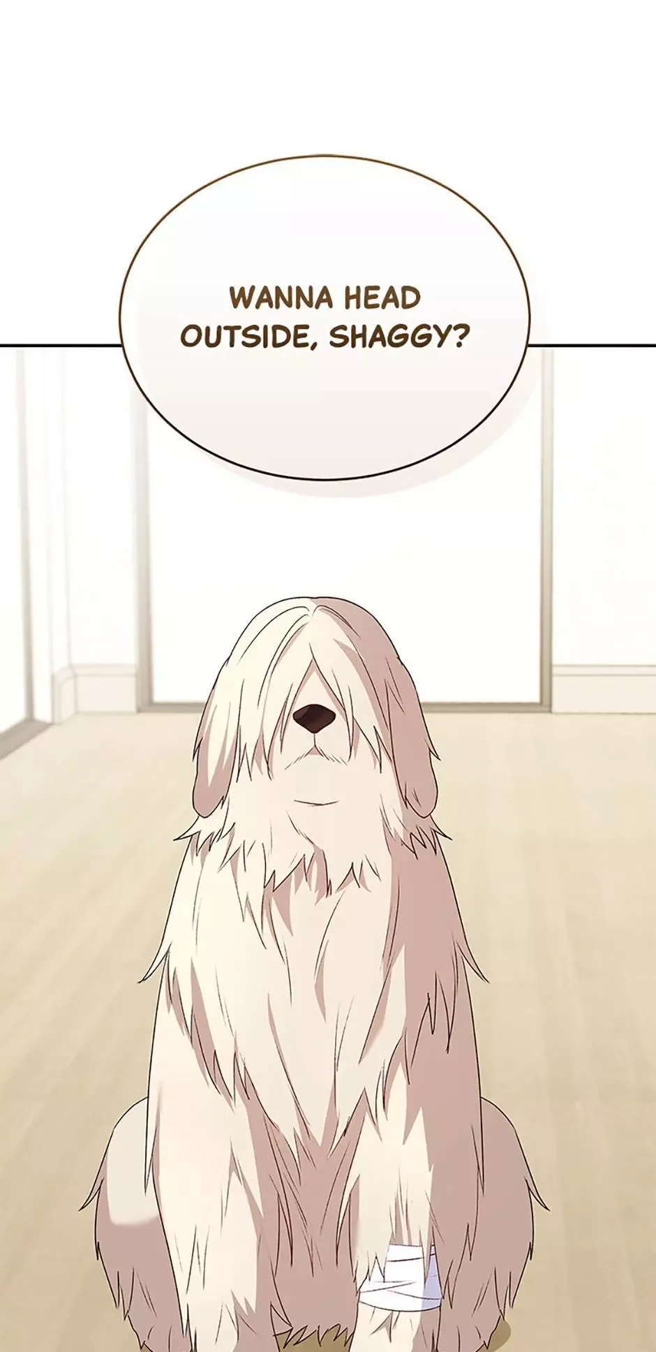 Hello! Veterinarian! Chapter 56 page 19