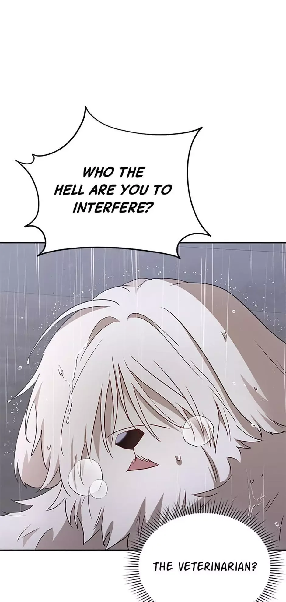 Hello! Veterinarian! Chapter 58 page 11