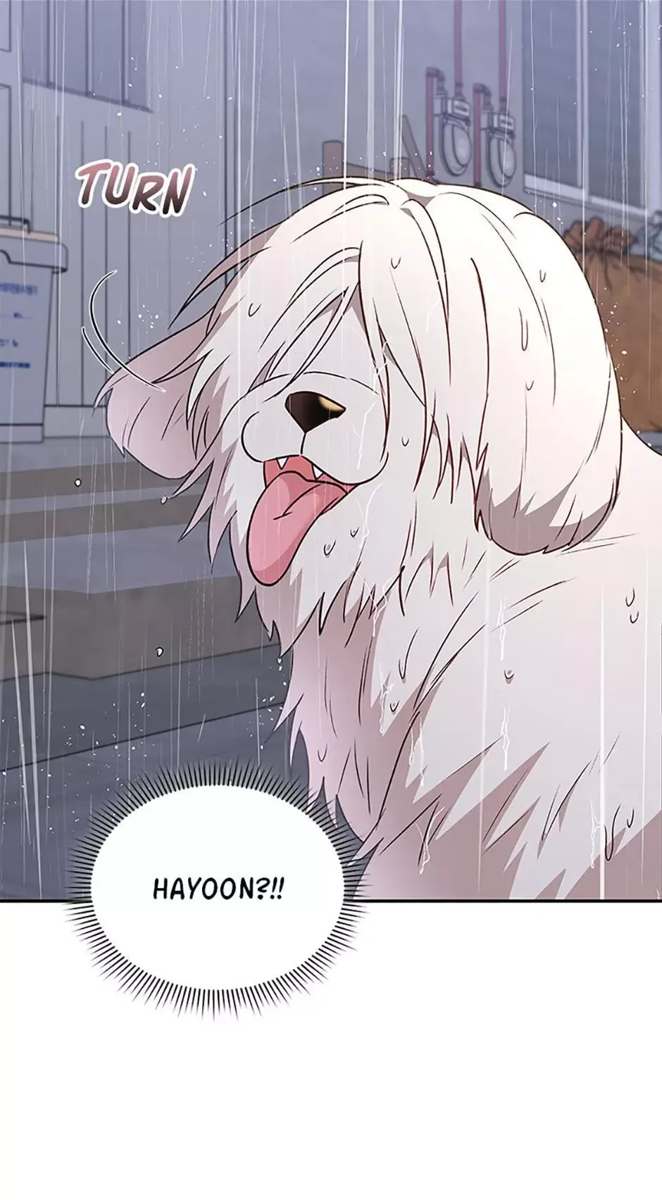 Hello! Veterinarian! Chapter 57 page 57