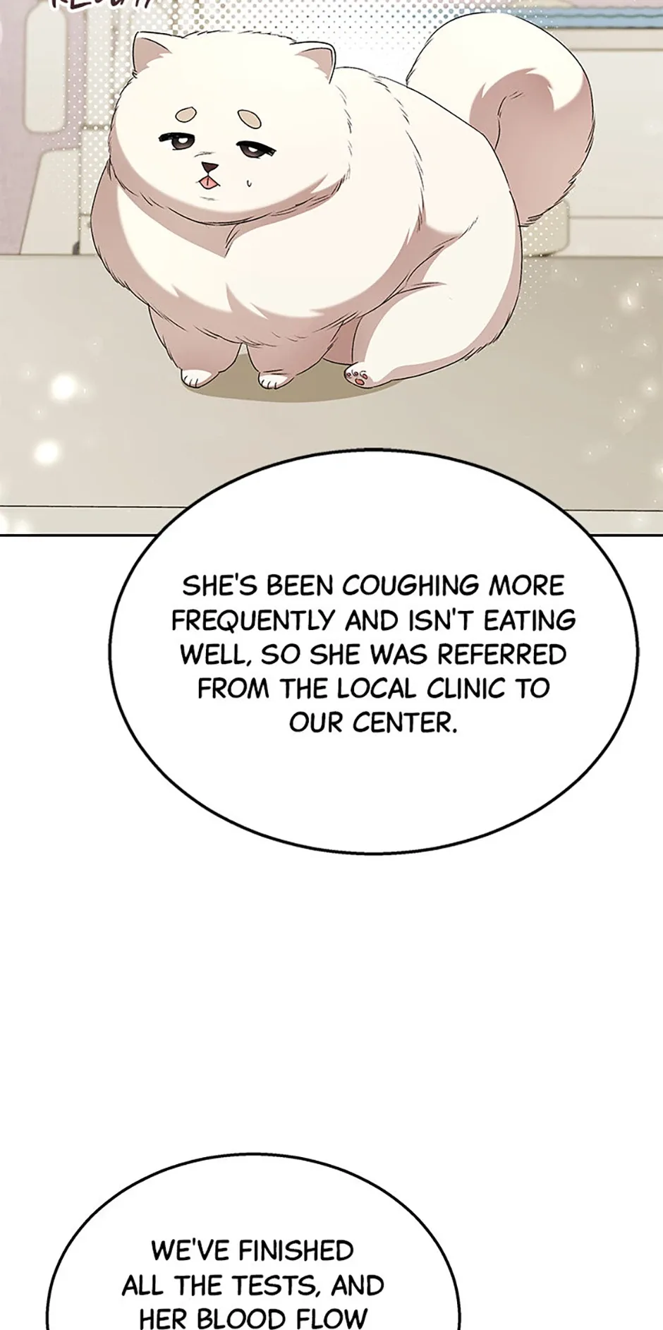 Hello! Veterinarian! Chapter 63 page 41