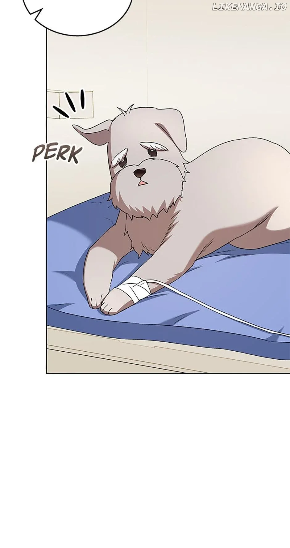 Hello! Veterinarian! Chapter 69 page 6