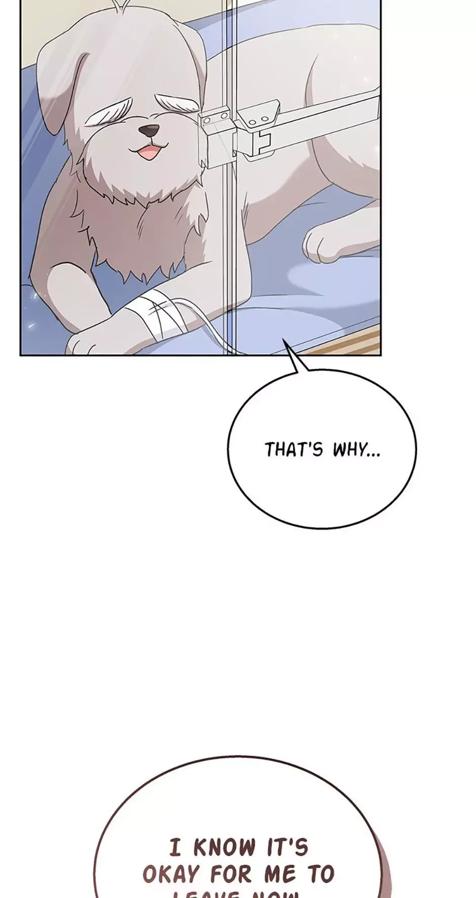 Hello! Veterinarian! Chapter 70 page 27