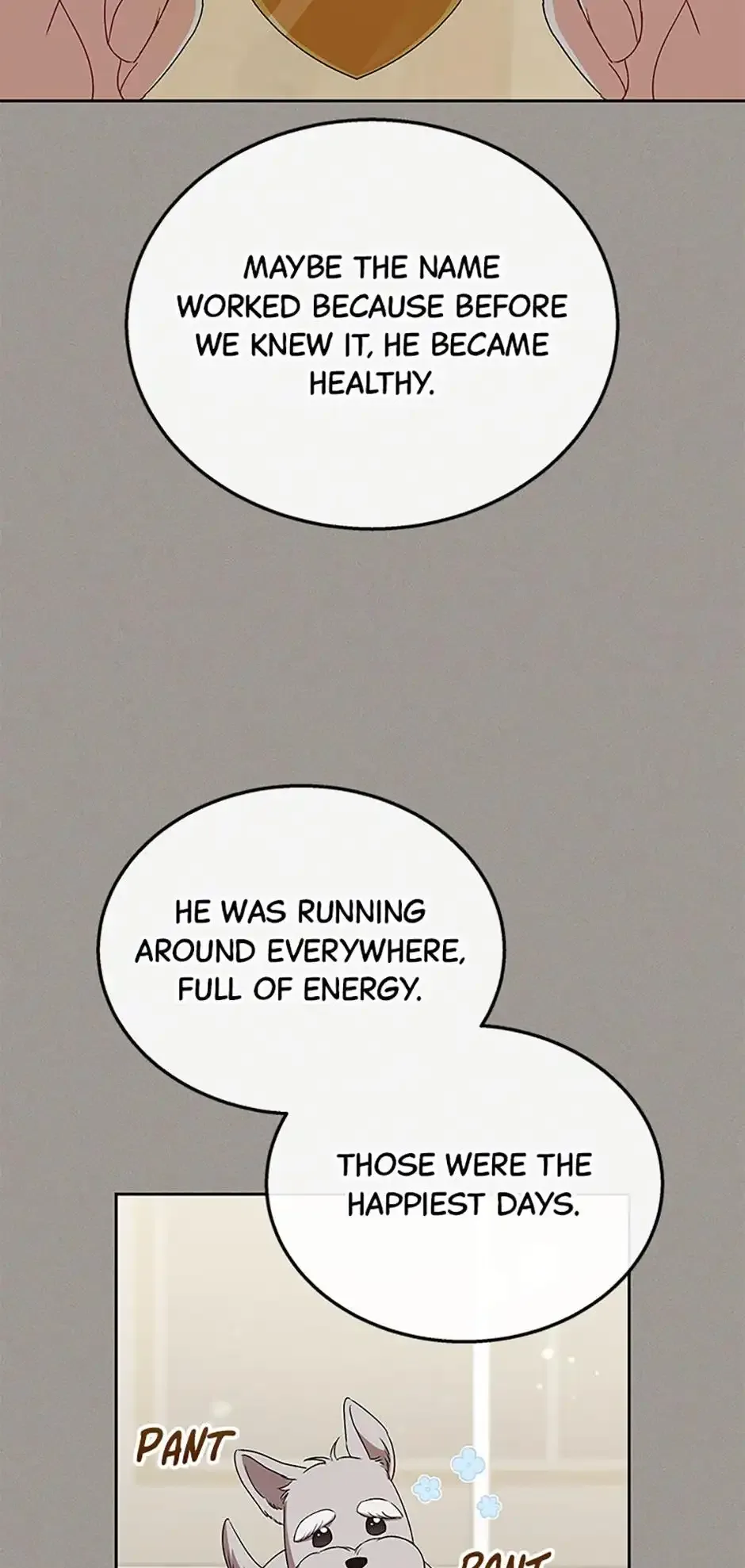 Hello! Veterinarian! Chapter 68 page 44