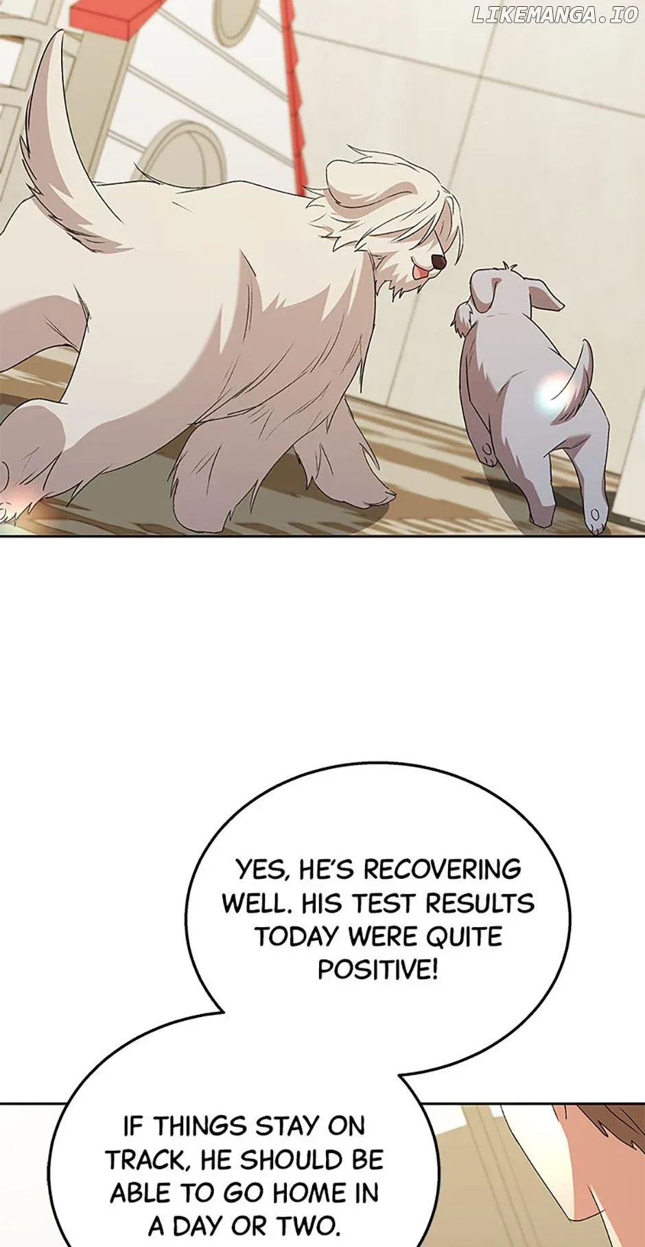 Hello! Veterinarian! Chapter 69 page 65