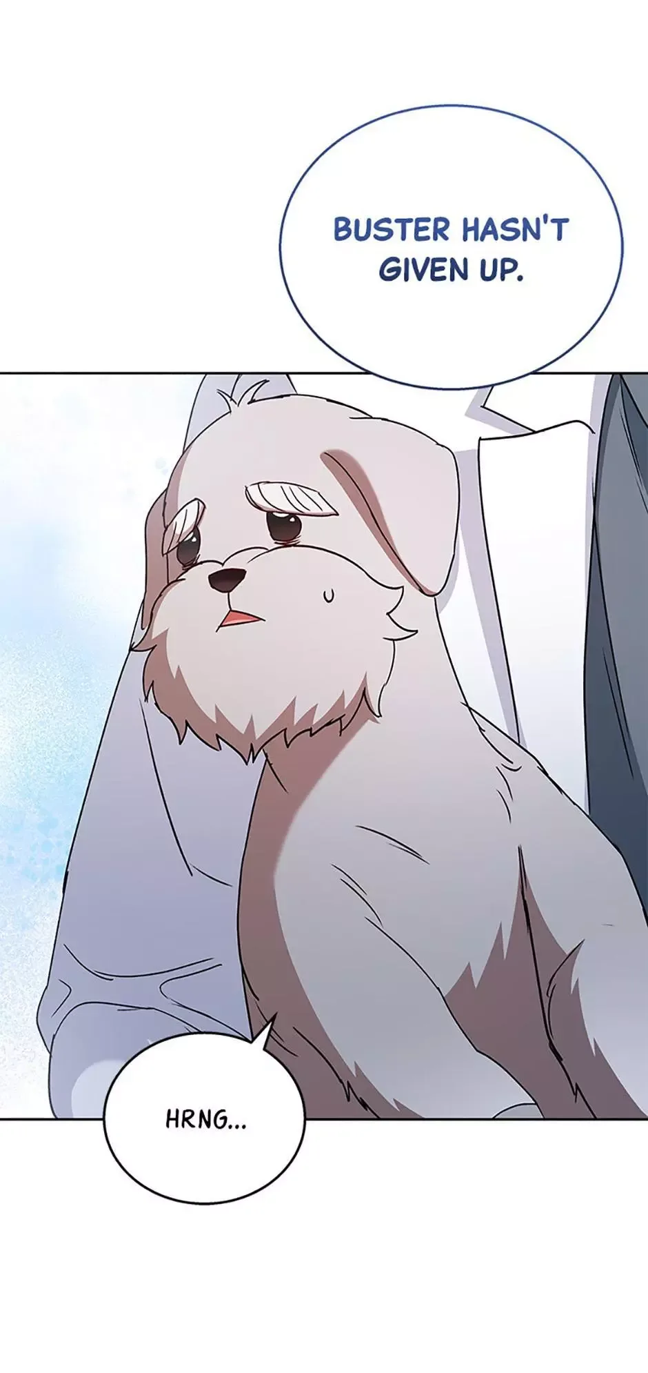 Hello! Veterinarian! Chapter 72 page 40