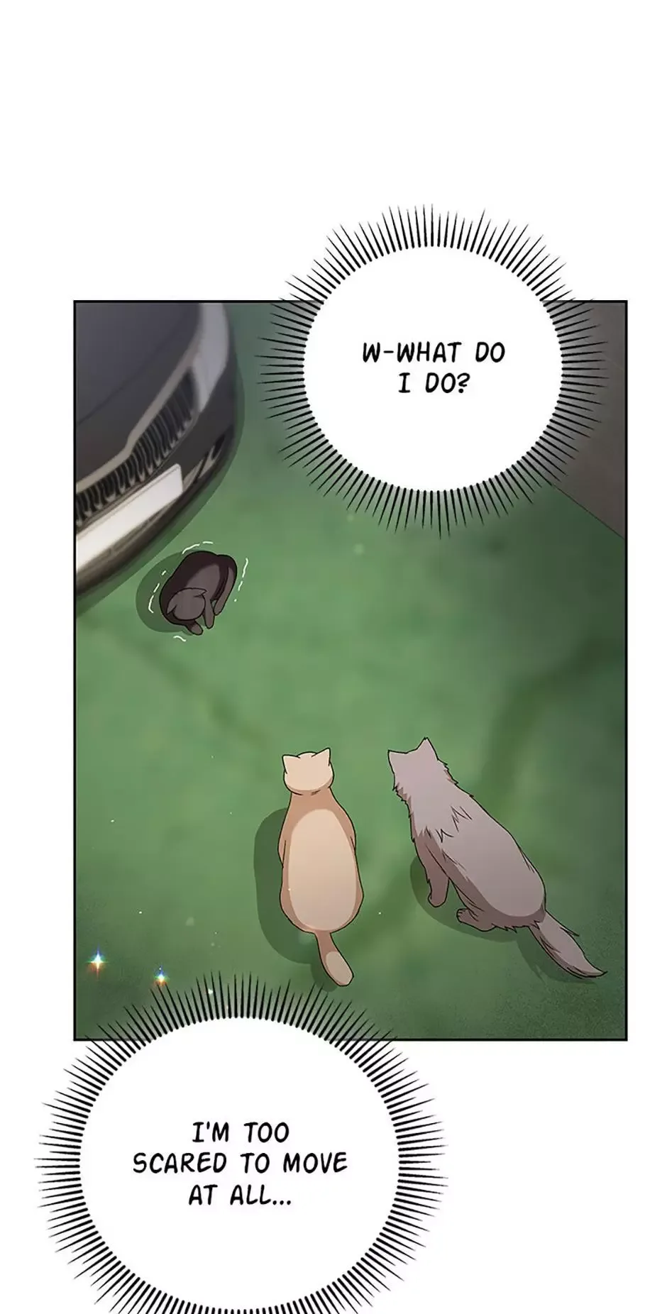 Hello! Veterinarian! Chapter 77 page 1