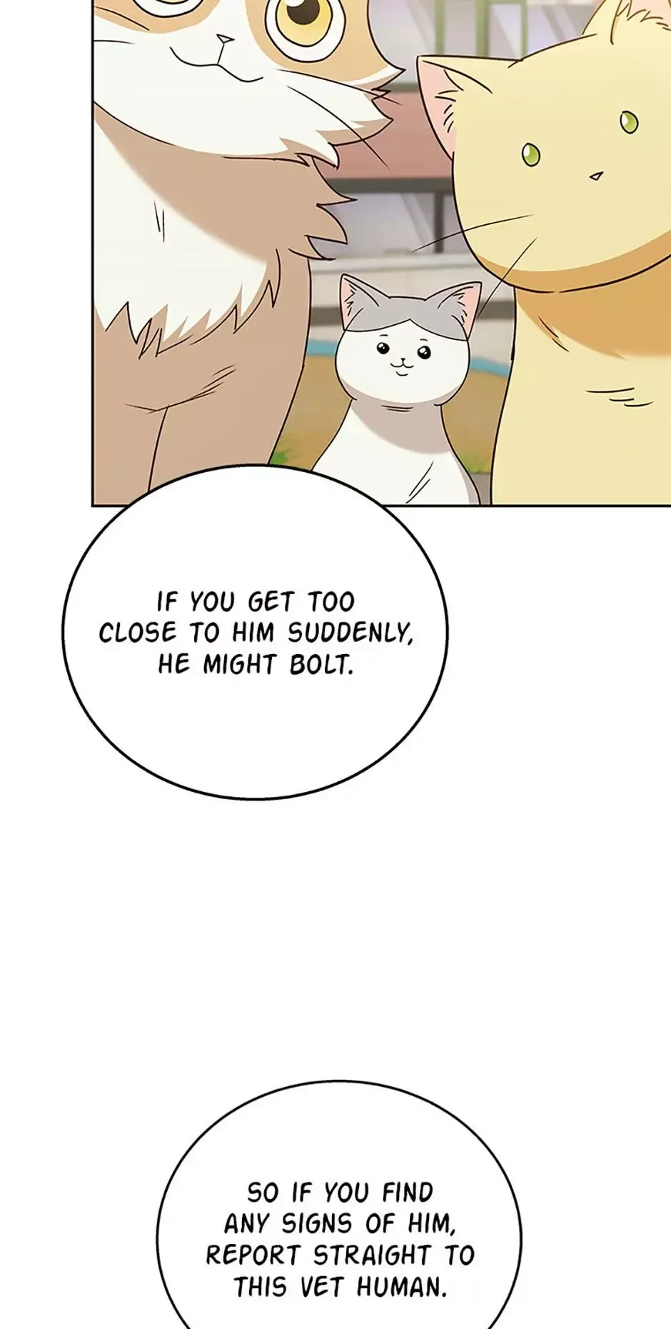 Hello! Veterinarian! Chapter 76 page 21