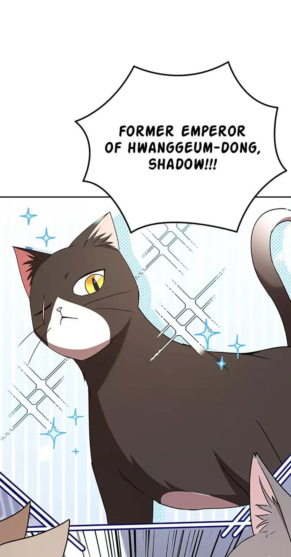 Hello! Veterinarian! Chapter 77 page 5
