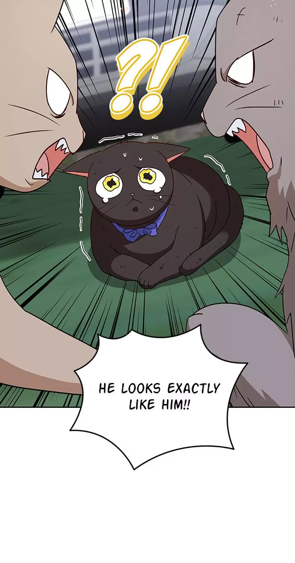 Hello! Veterinarian! Chapter 77 page 6