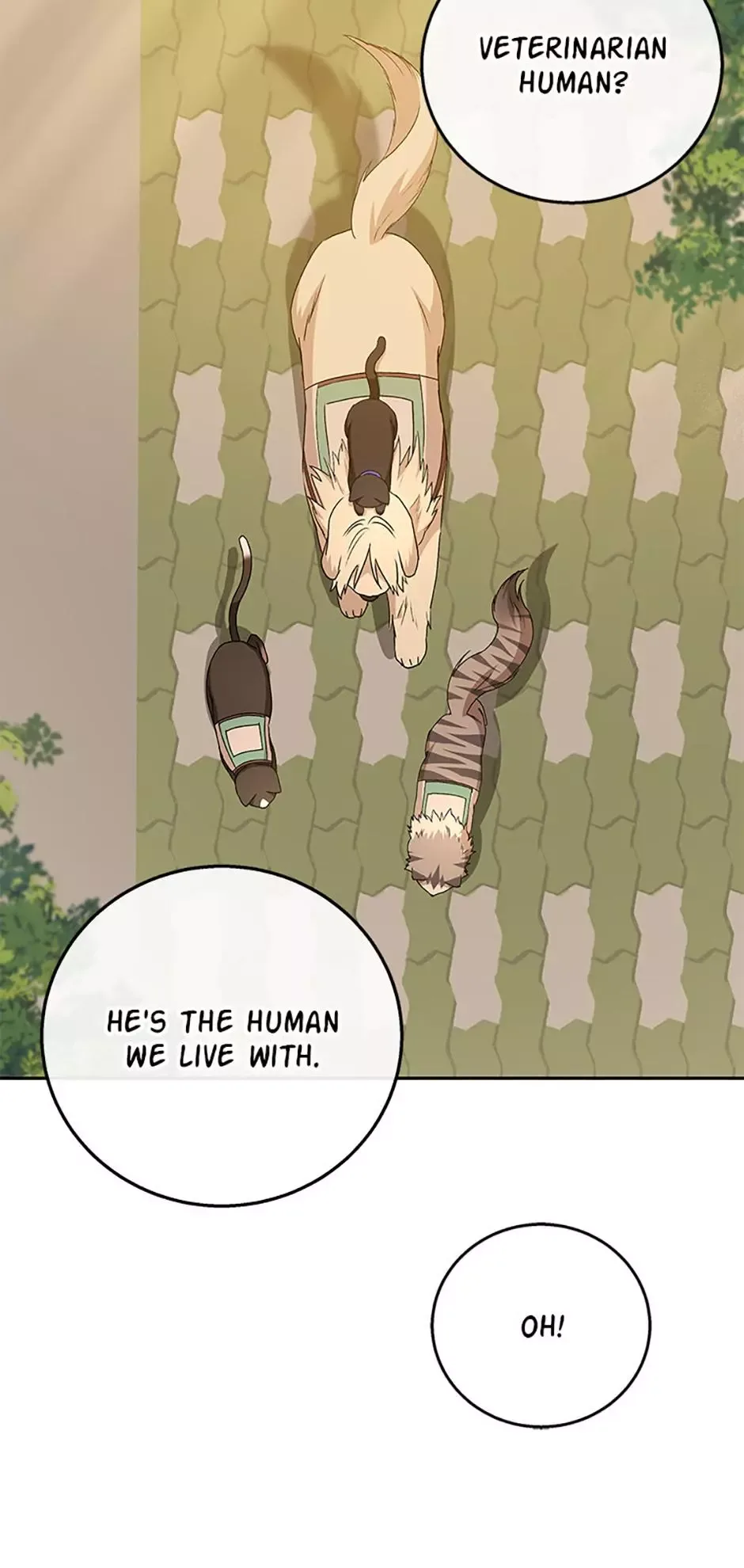 Hello! Veterinarian! Chapter 78 page 6