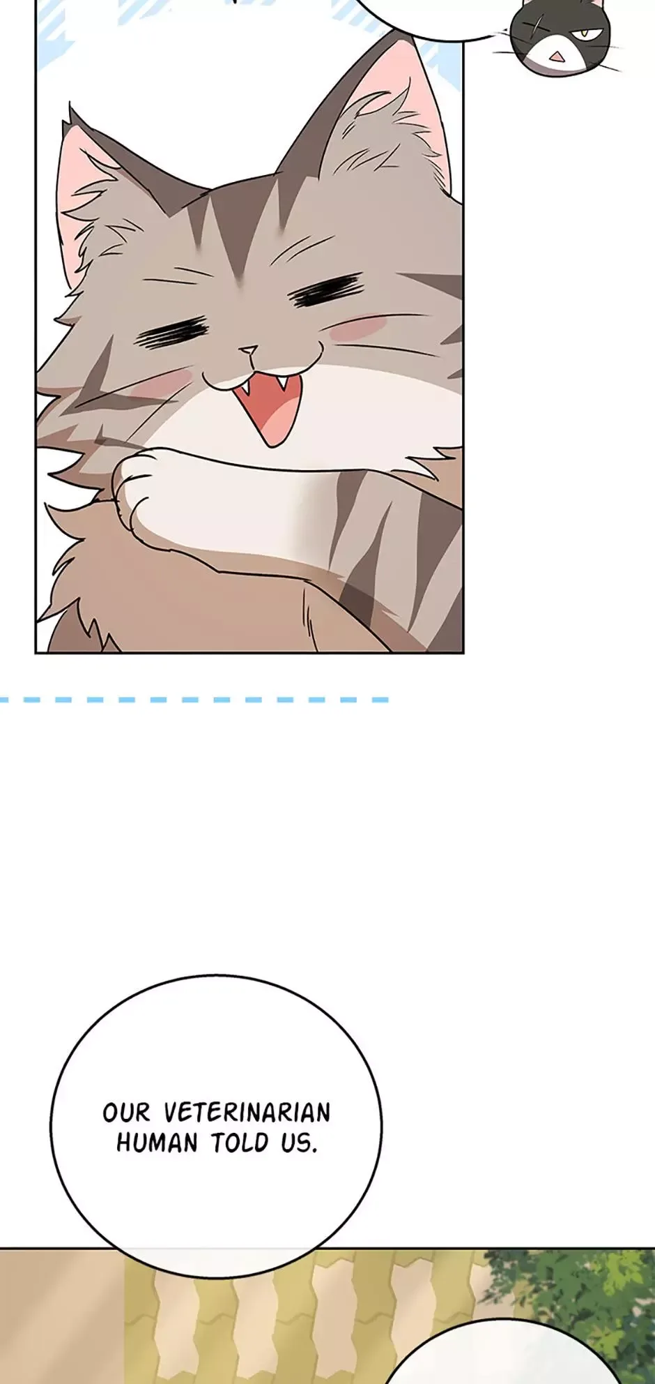 Hello! Veterinarian! Chapter 78 page 5