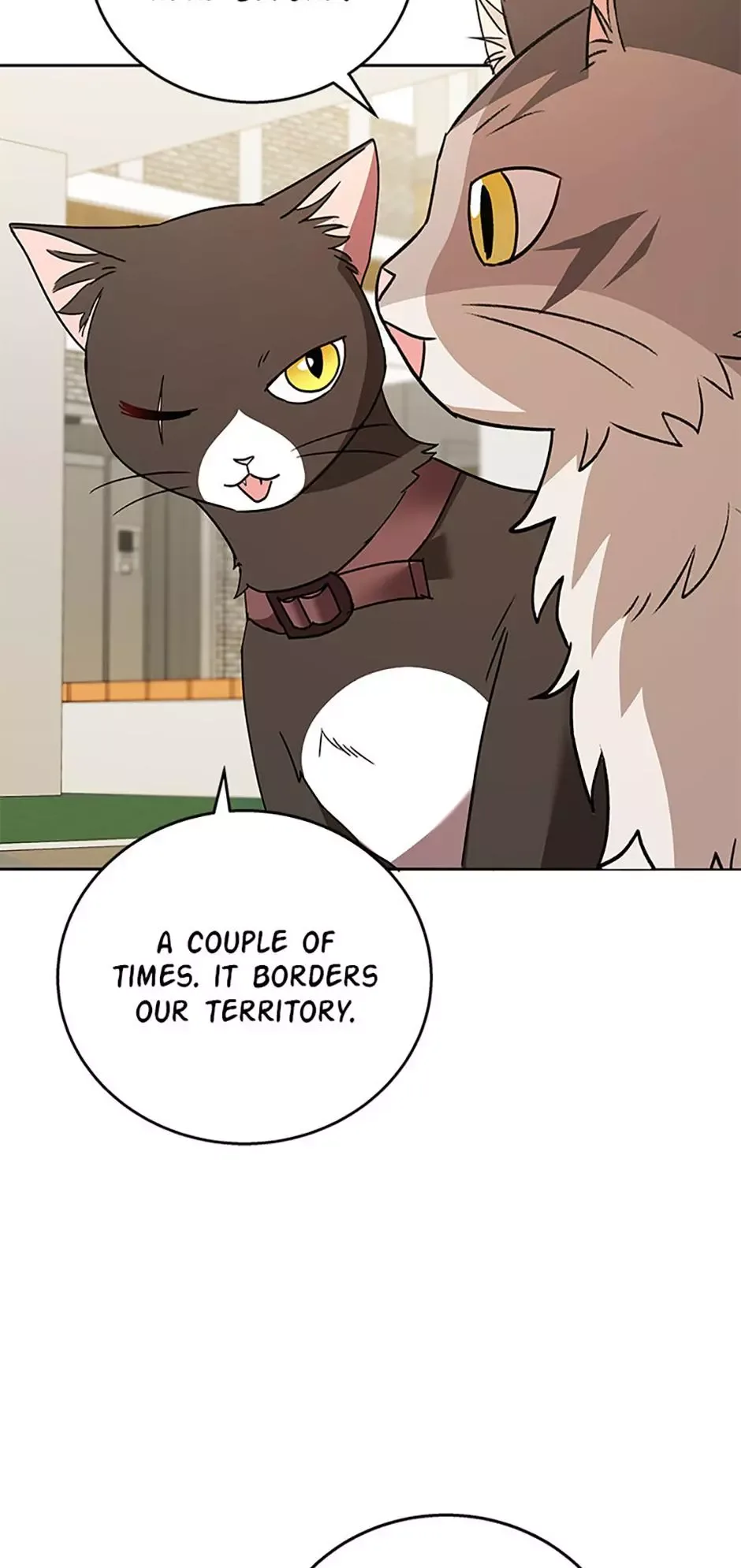 Hello! Veterinarian! Chapter 76 page 30