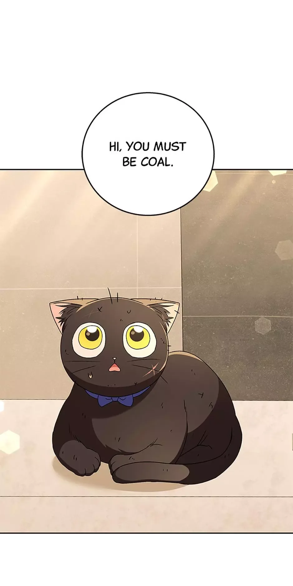 Hello! Veterinarian! Chapter 78 page 14