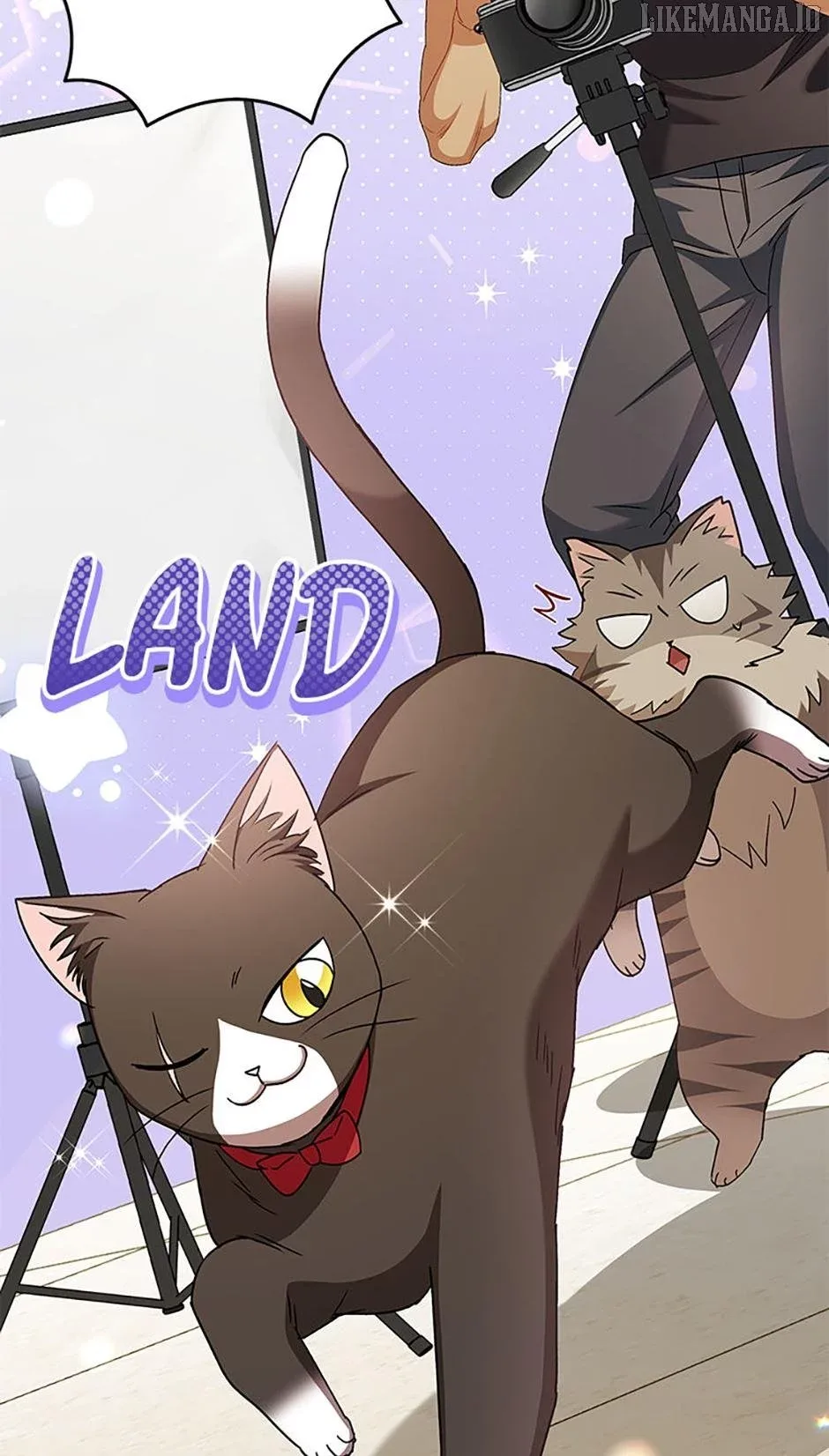 Hello! Veterinarian! Chapter 79 page 15