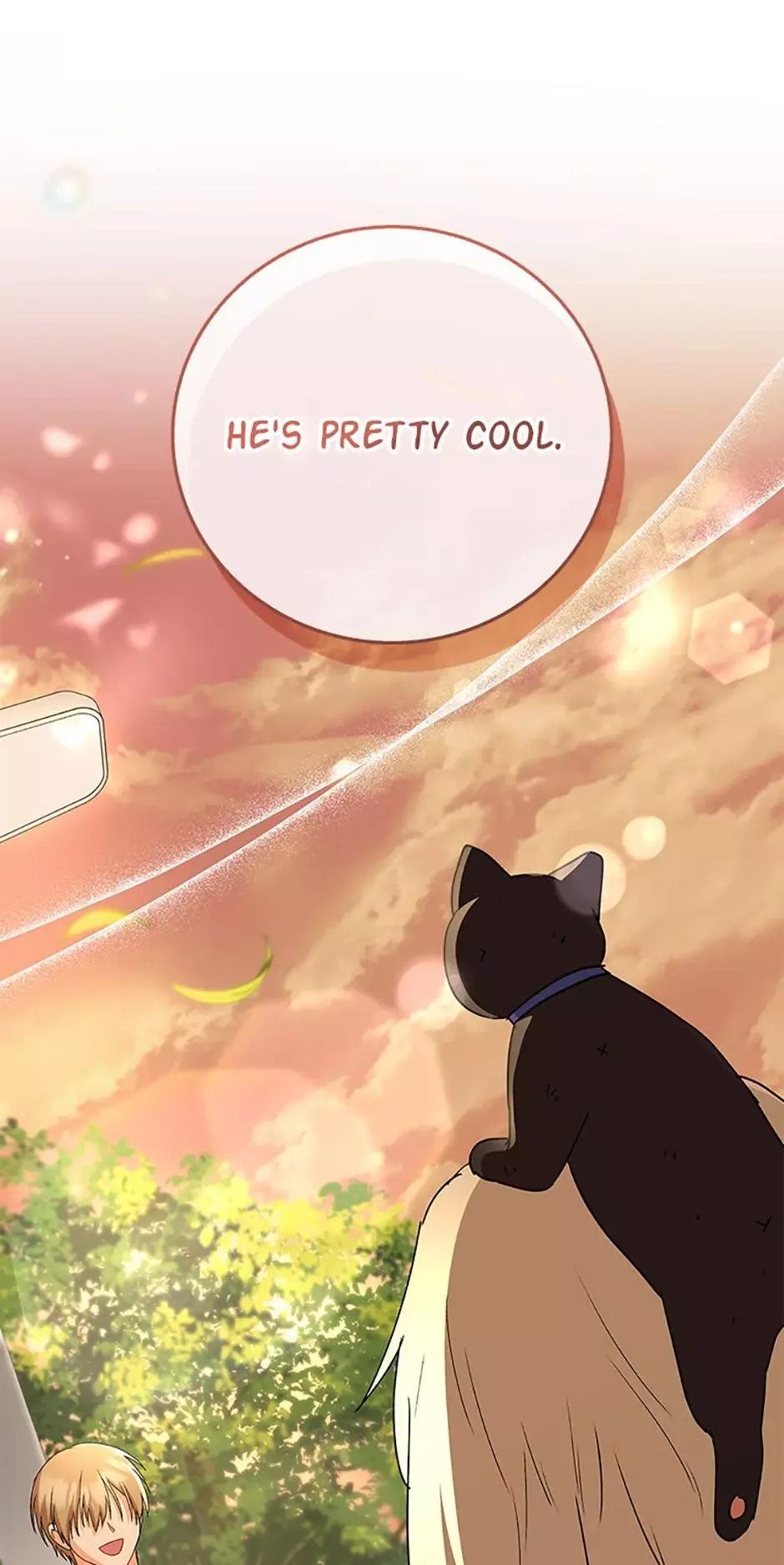 Hello! Veterinarian! Chapter 78 page 11