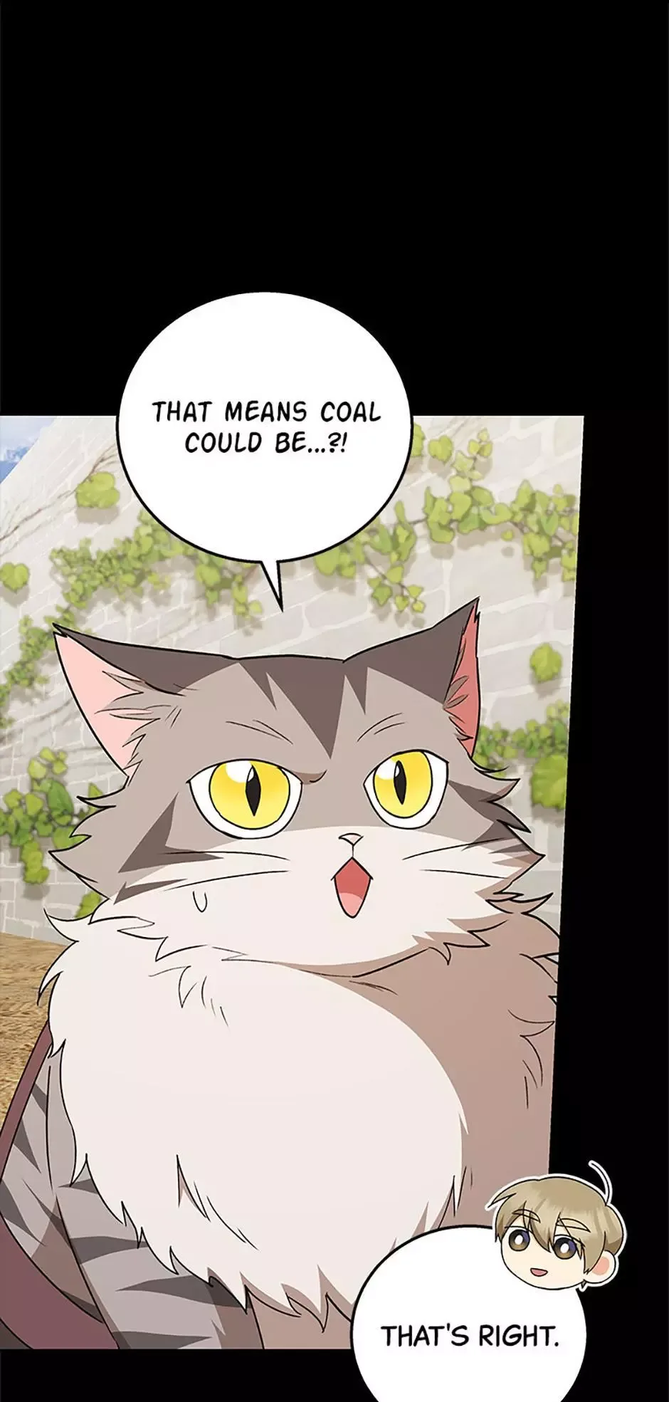 Hello! Veterinarian! Chapter 77 page 40