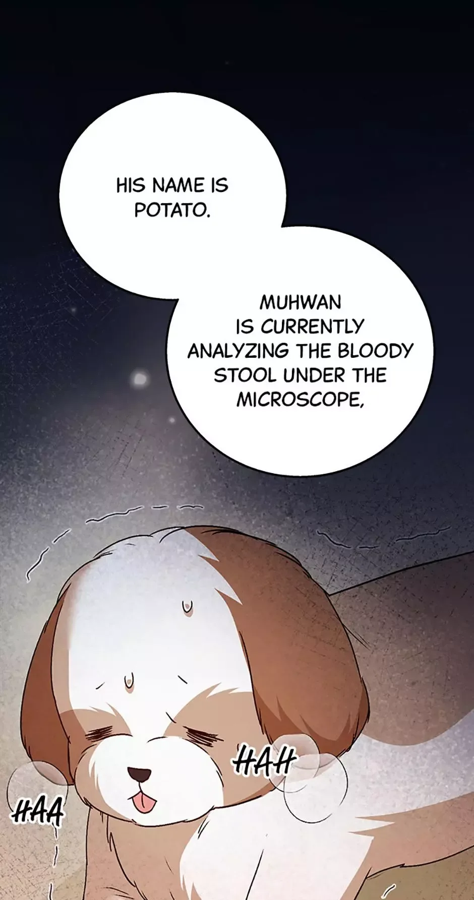 Hello! Veterinarian! Chapter 80 page 1