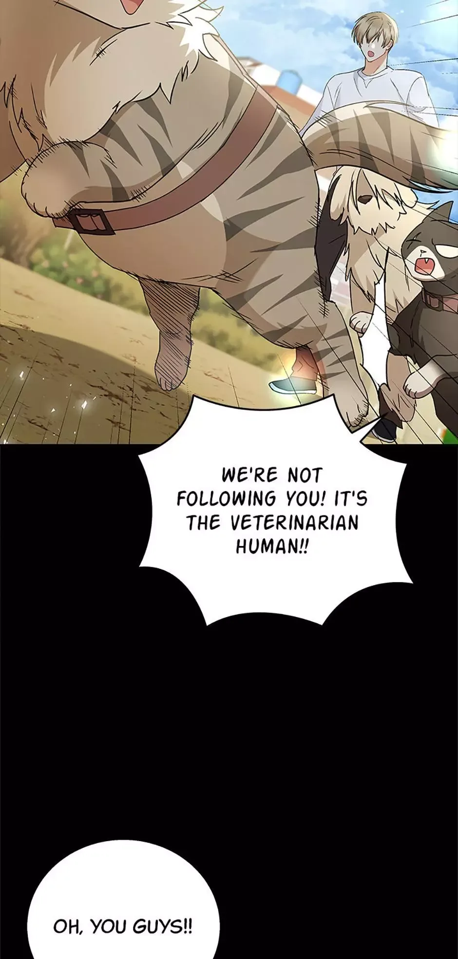 Hello! Veterinarian! Chapter 77 page 45