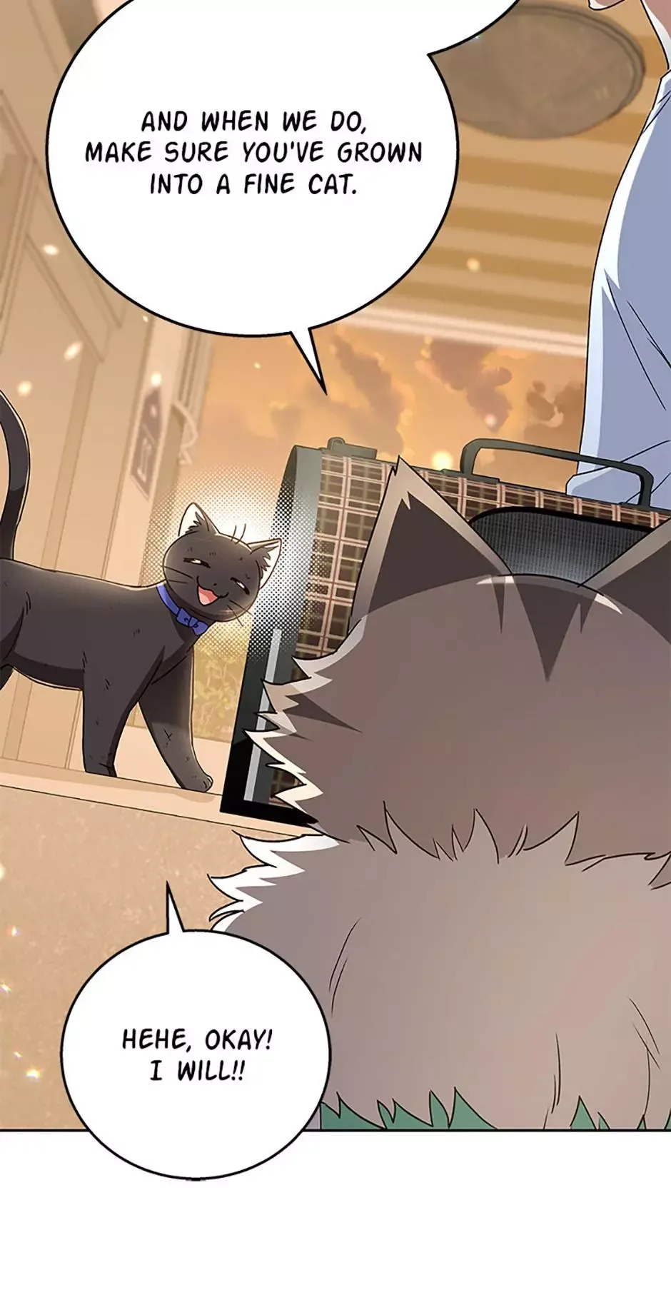 Hello! Veterinarian! Chapter 78 page 35