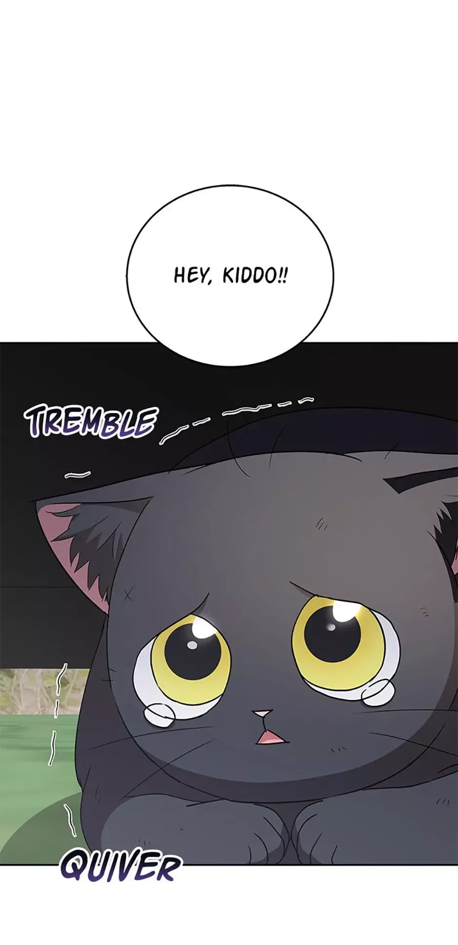 Hello! Veterinarian! Chapter 76 page 69