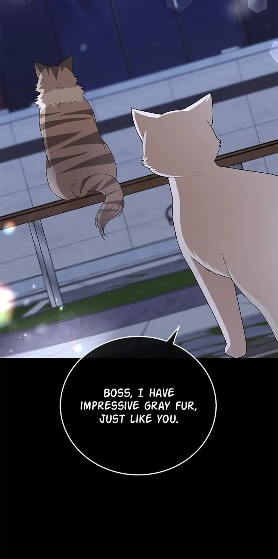 Hello! Veterinarian! Chapter 81 page 7