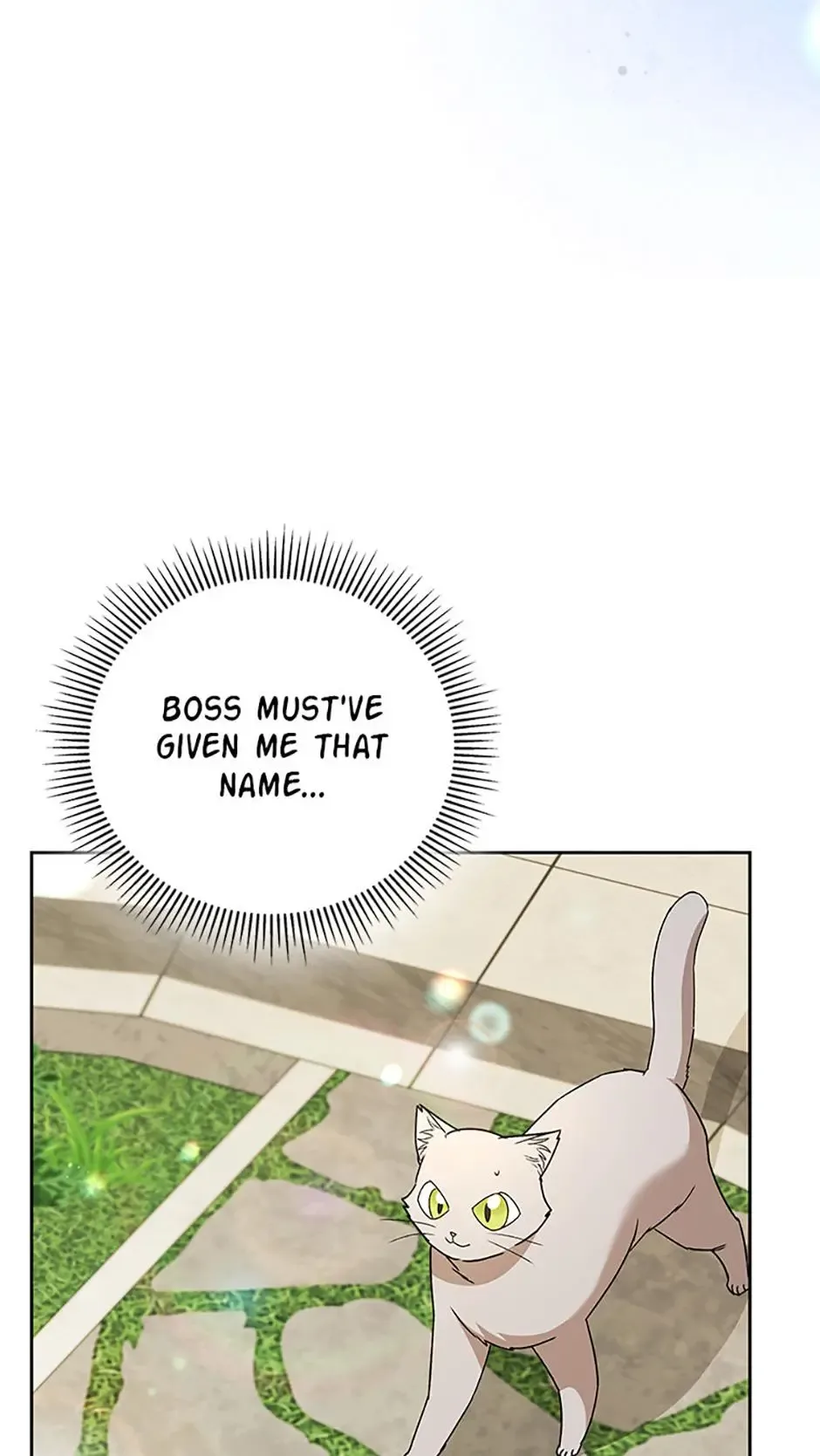 Hello! Veterinarian! Chapter 81 page 16