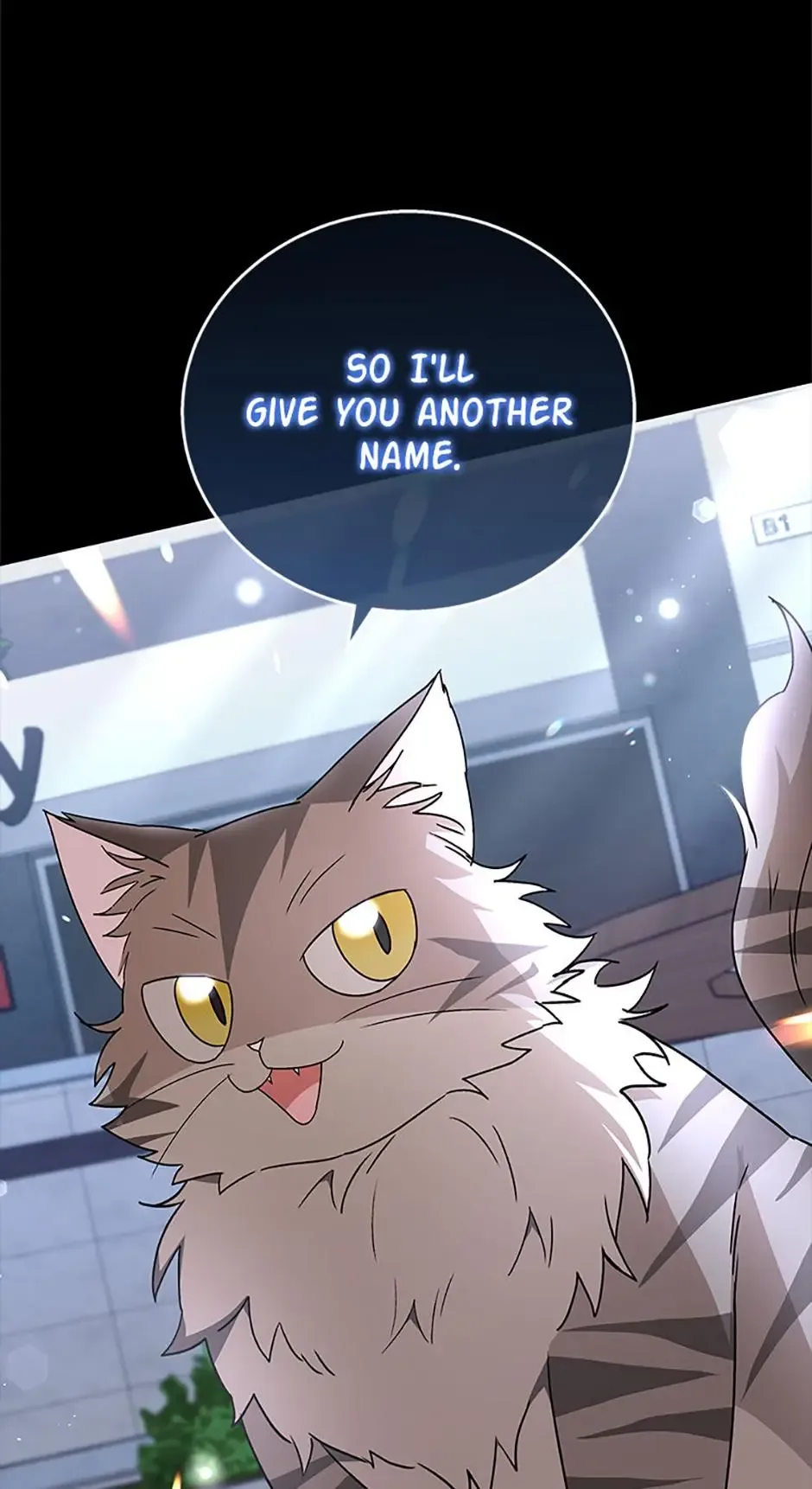 Hello! Veterinarian! Chapter 81 page 12